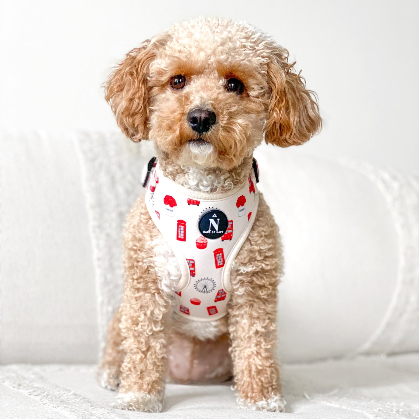 Adjustable Harness - The Londoner