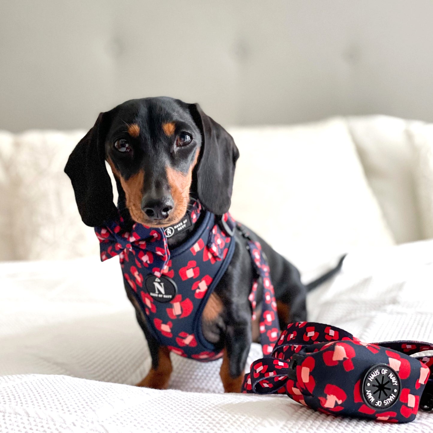 Adjustable Harness - Modern Poppy