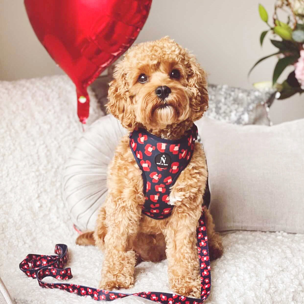 Adjustable Harness - Modern Poppy