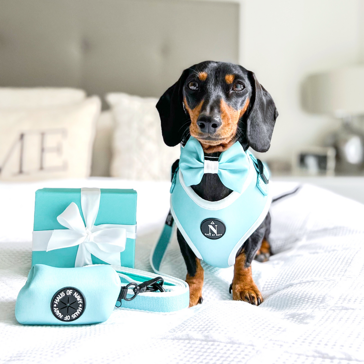 Adjustable Harness - Tiffany