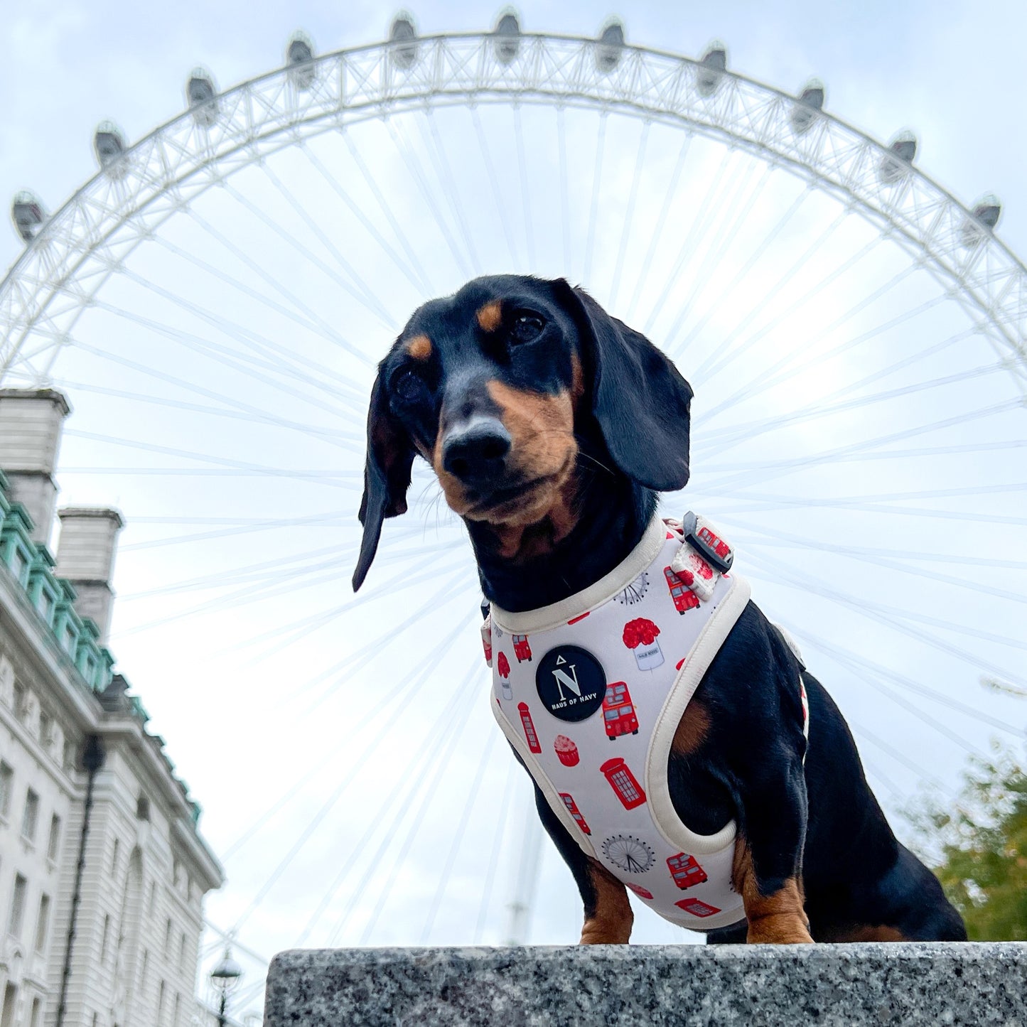 Adjustable Harness - The Londoner