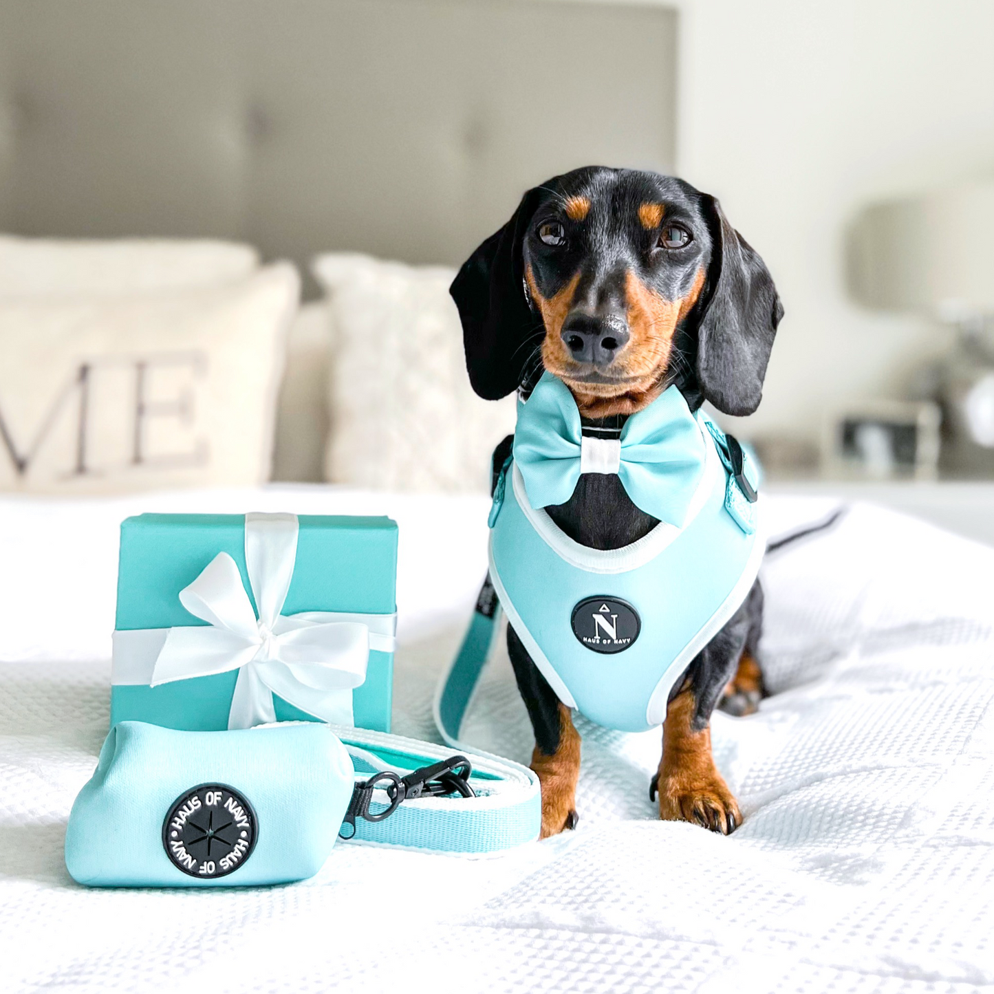 Poop Bag Holder - Tiffany