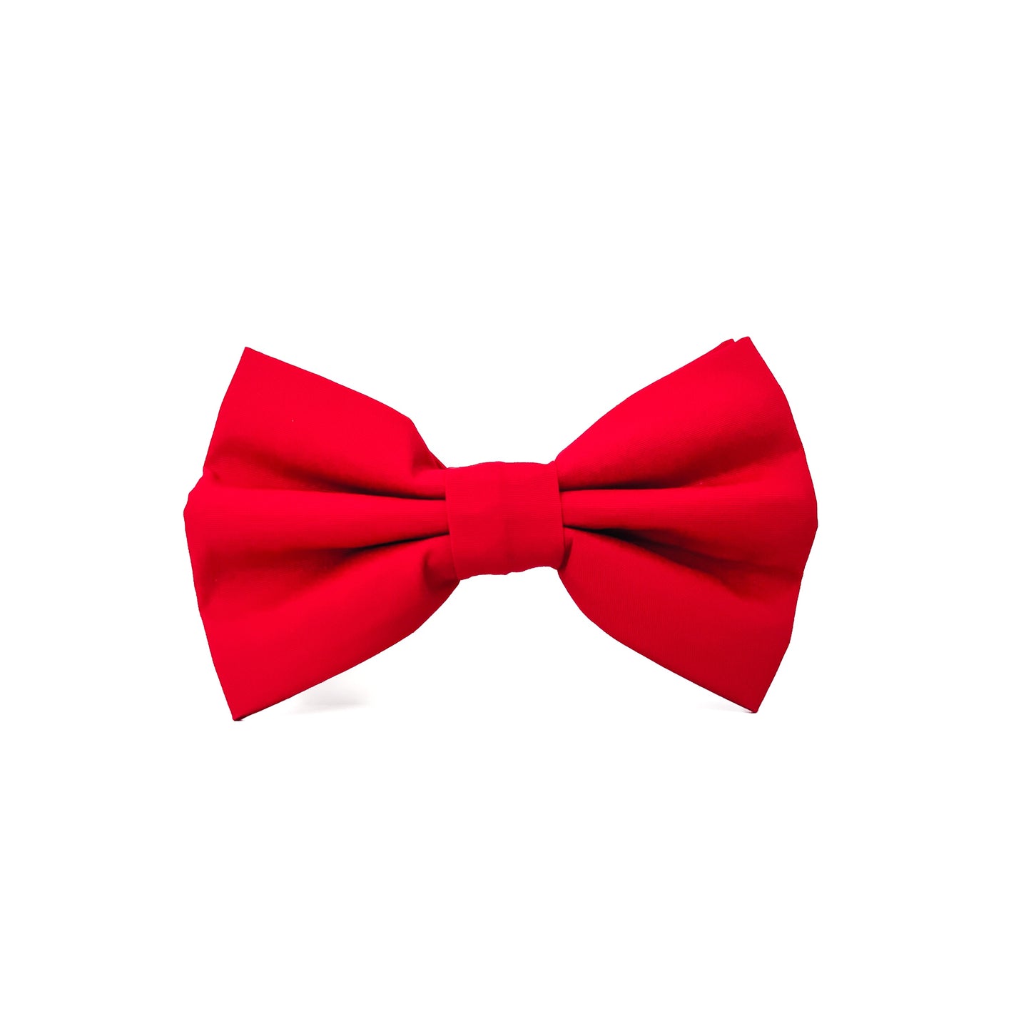 Cotton Bow Tie - Park Lane