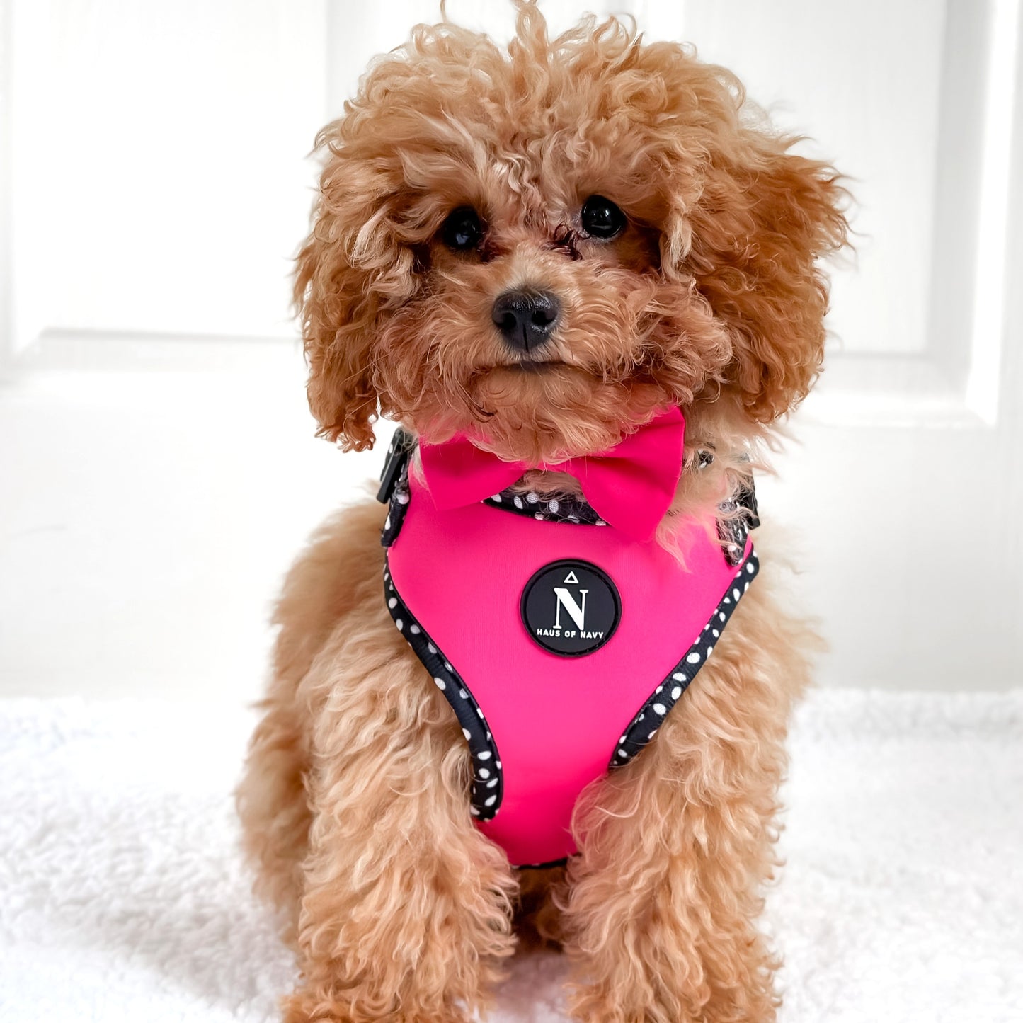 Adjustable Harness - Speckled Hot Pink