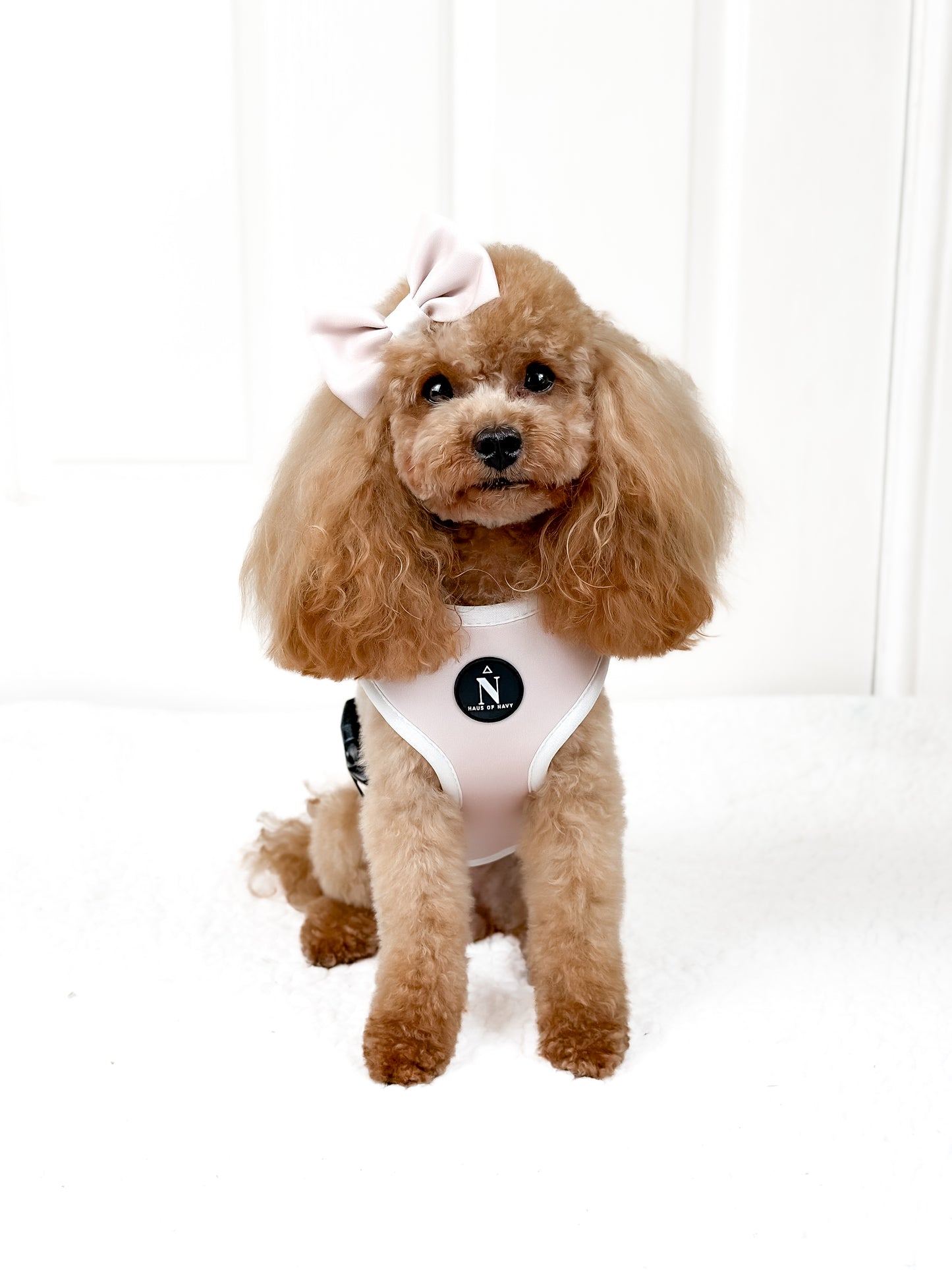 Adjustable Harness - Chloé