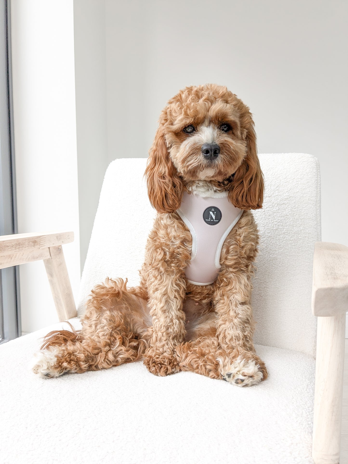 Adjustable Harness - Chloé