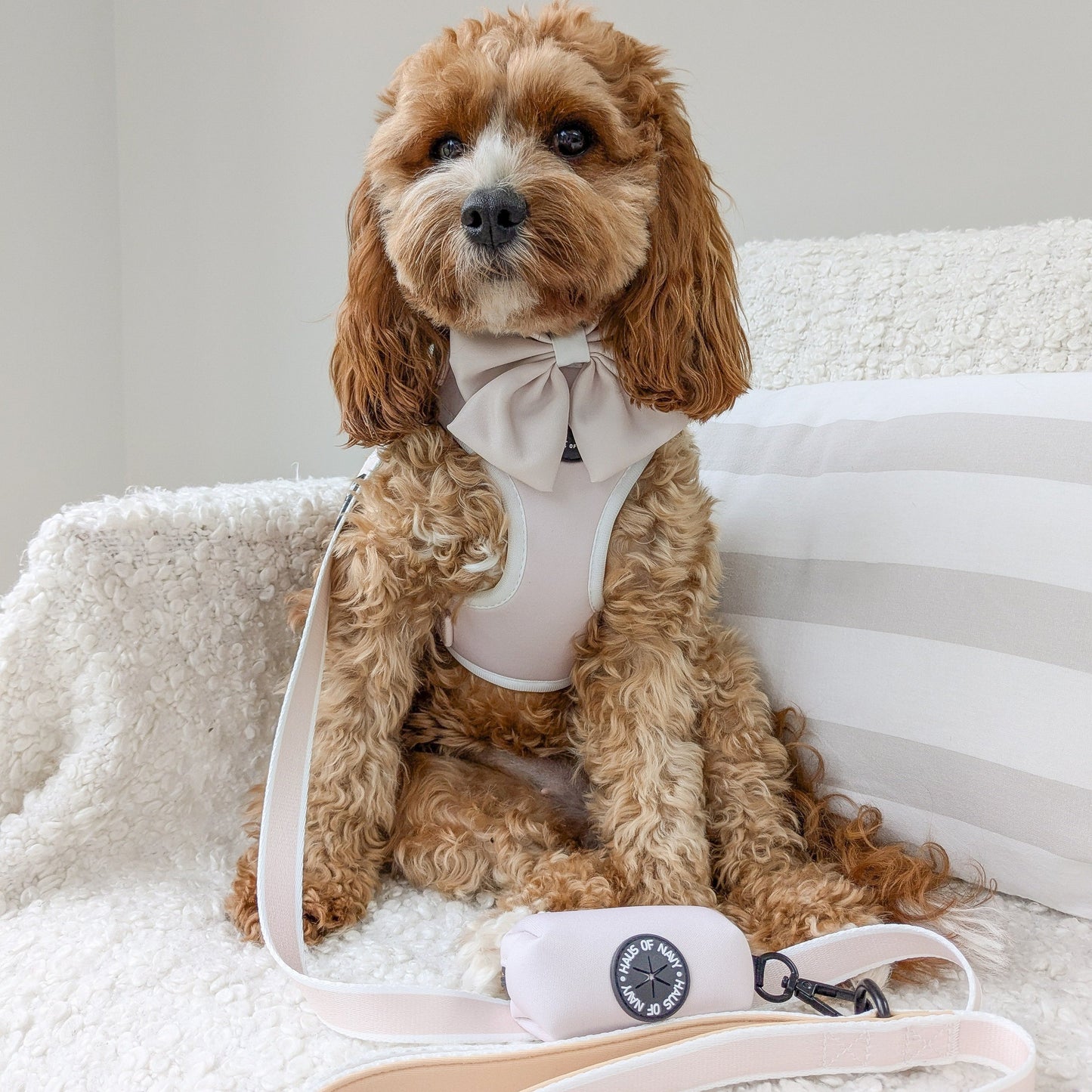Leash - Chloé