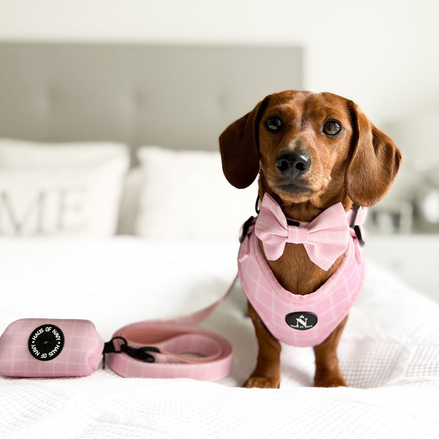 Bow Tie - Pink Plaid