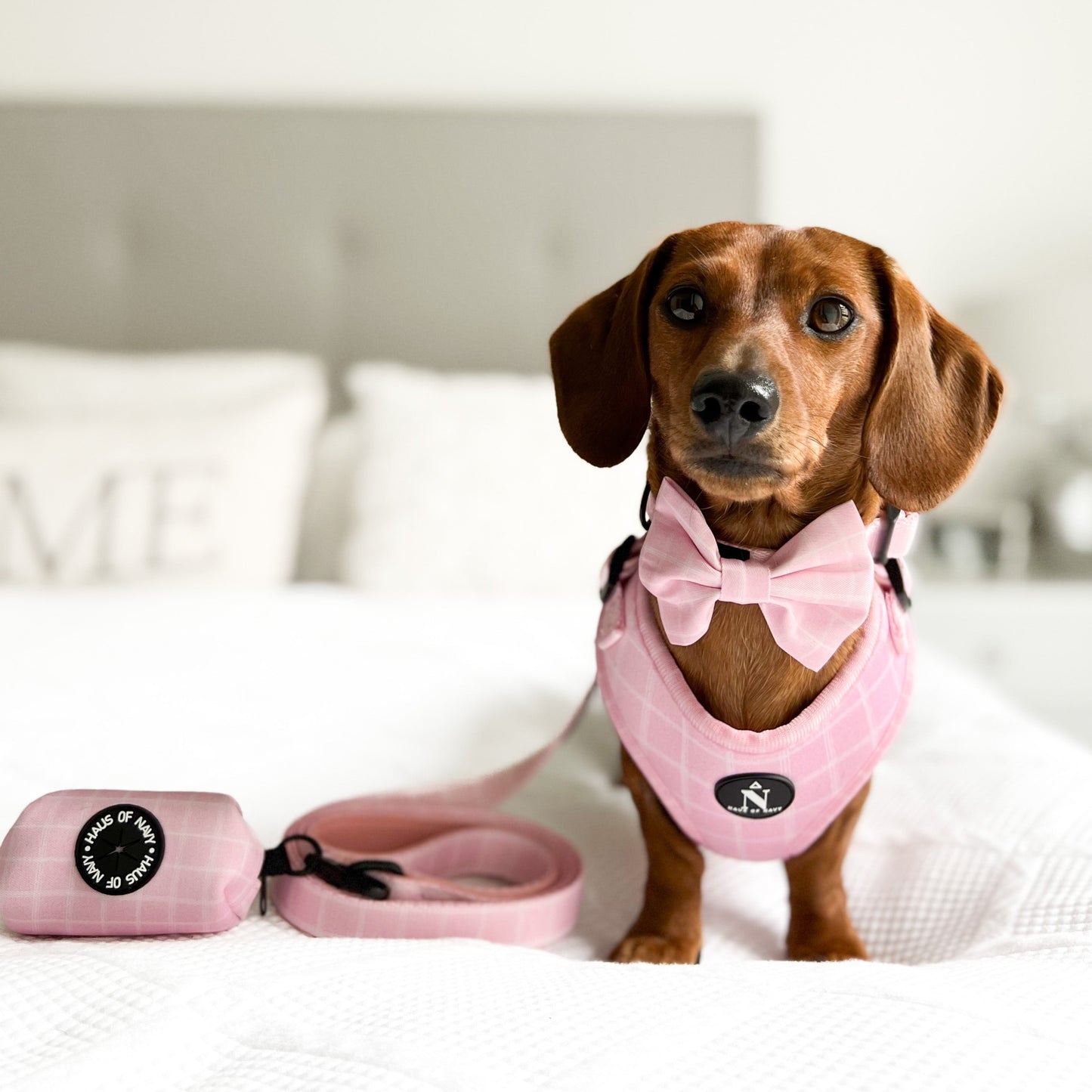 Leash - Pink Plaid