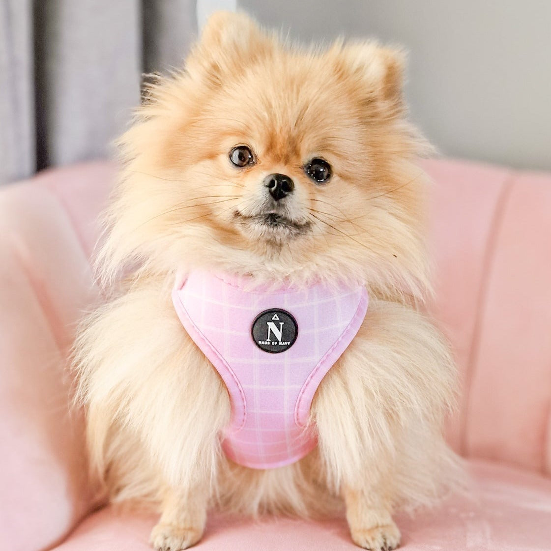 Adjustable Harness - Pink Plaid