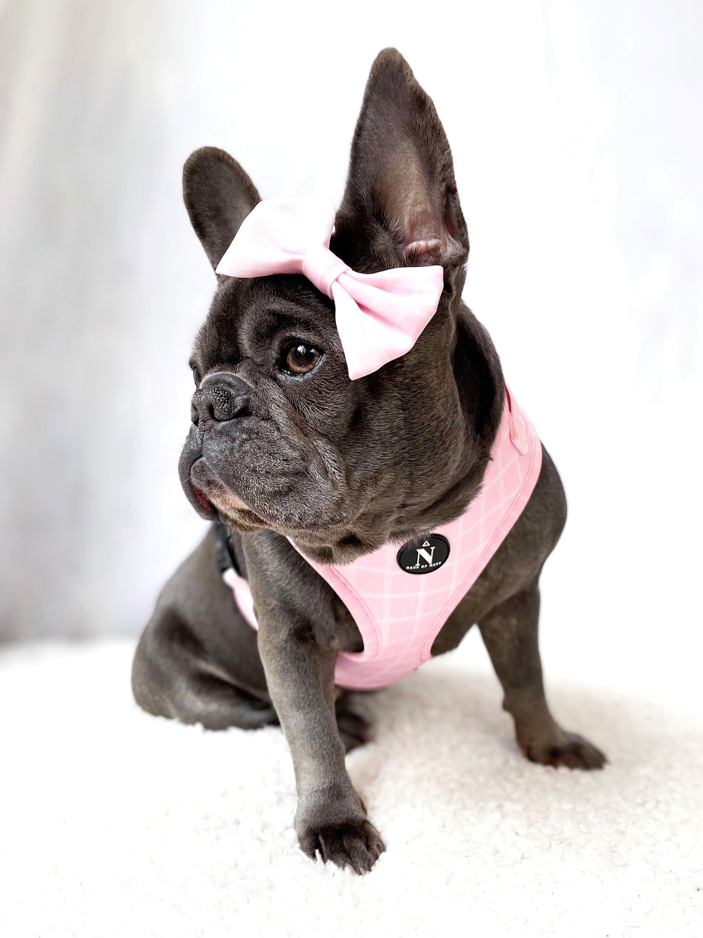 Adjustable Harness - Pink Plaid