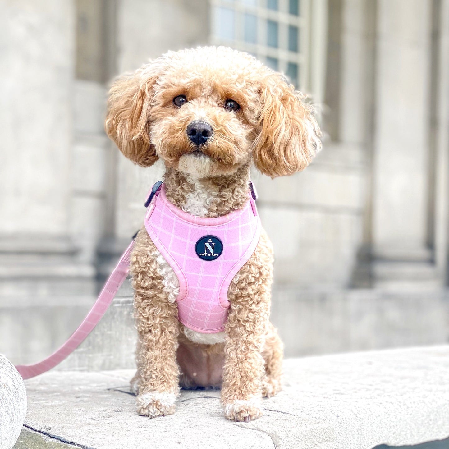 Adjustable Harness - Pink Plaid