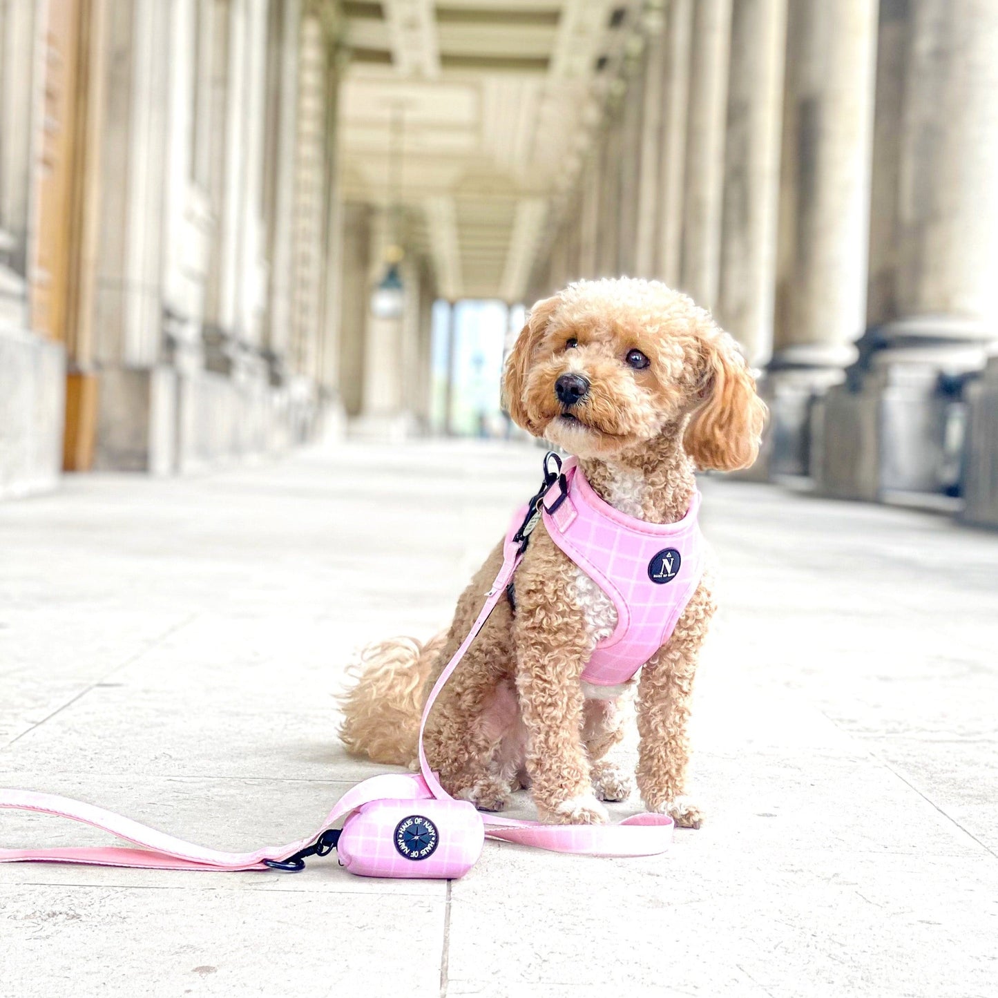 Leash - Pink Plaid