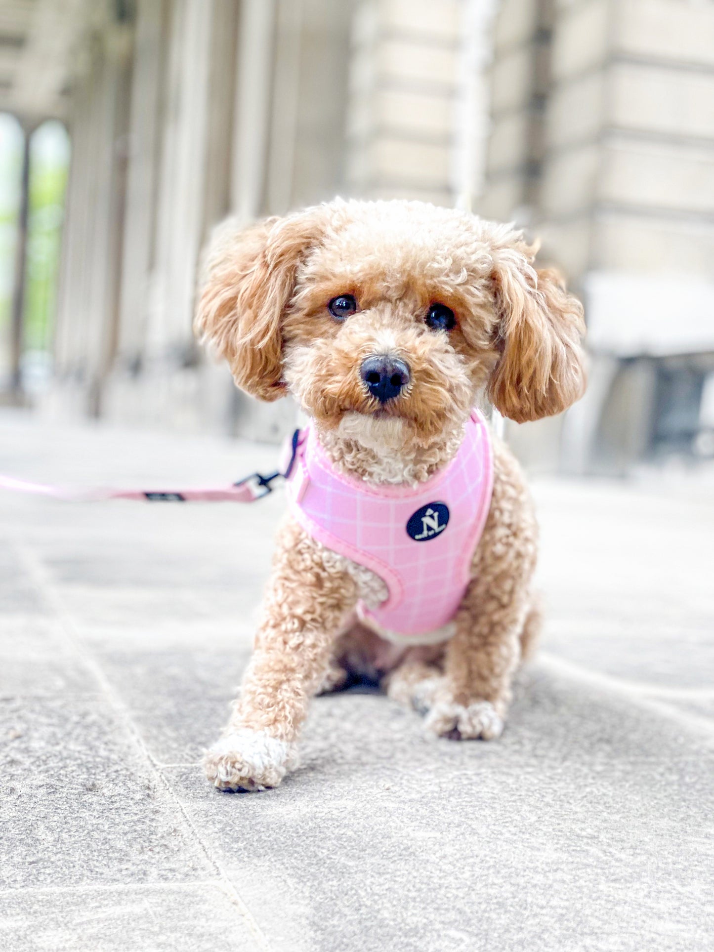 Adjustable Harness - Pink Plaid