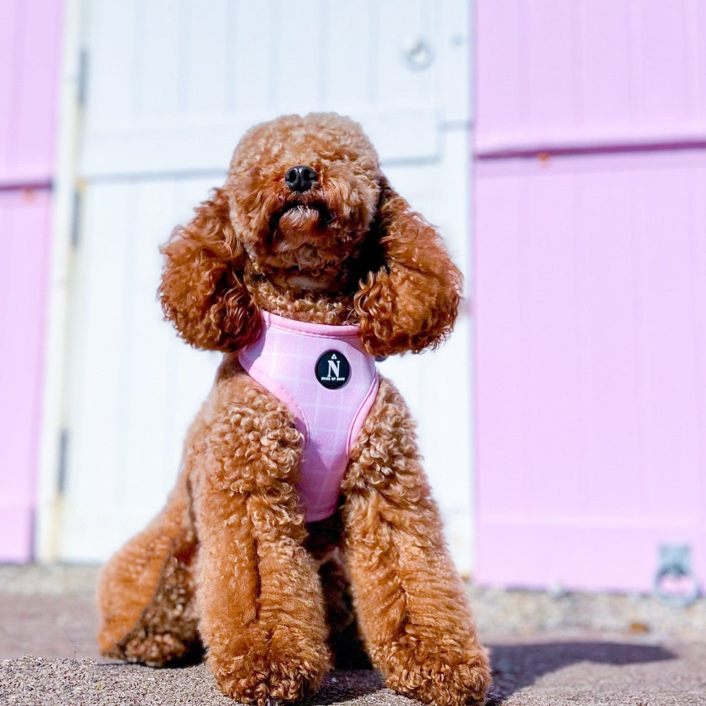 Adjustable Harness - Pink Plaid