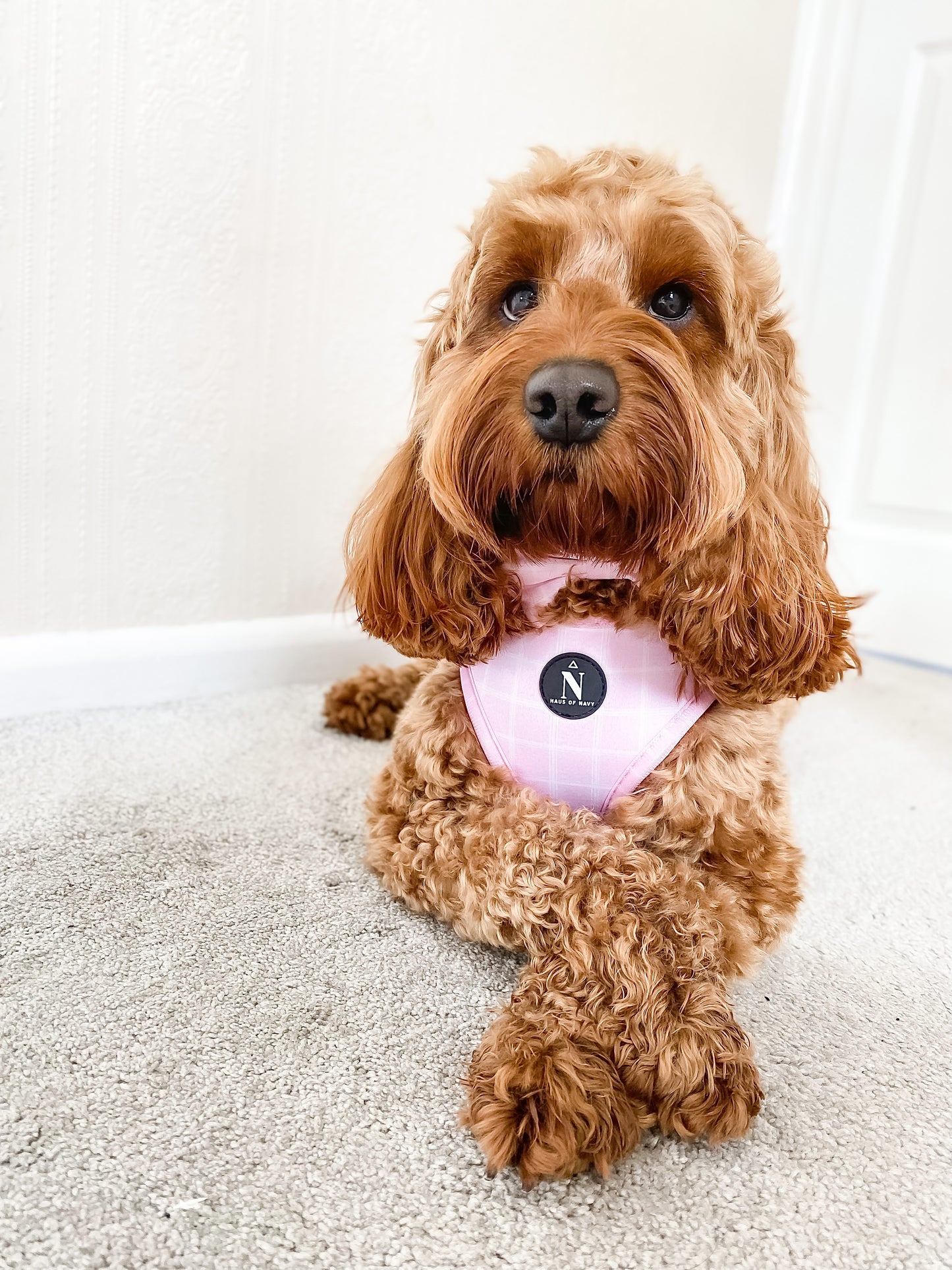 Adjustable Harness - Pink Plaid