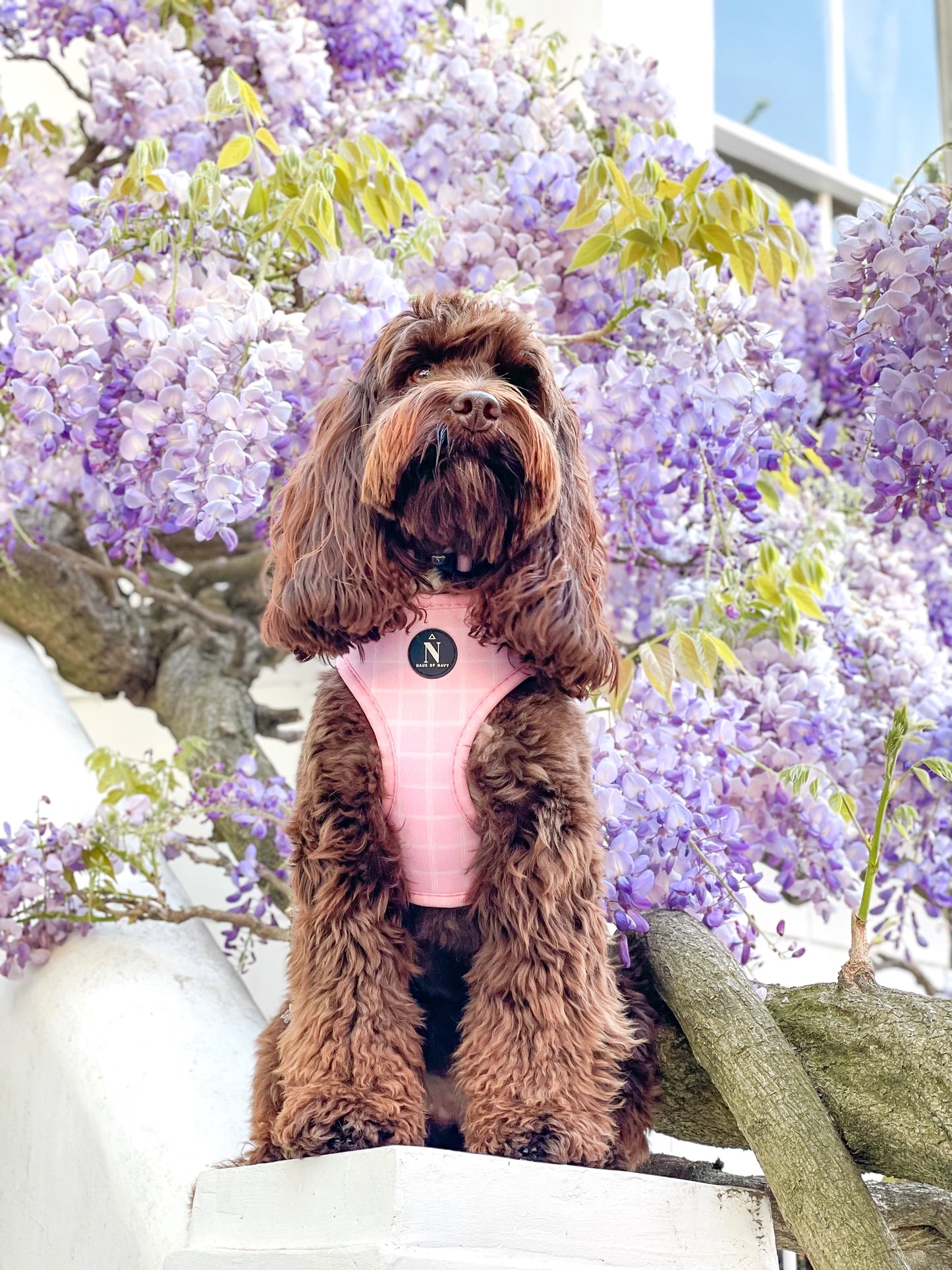 Adjustable Harness - Pink Plaid