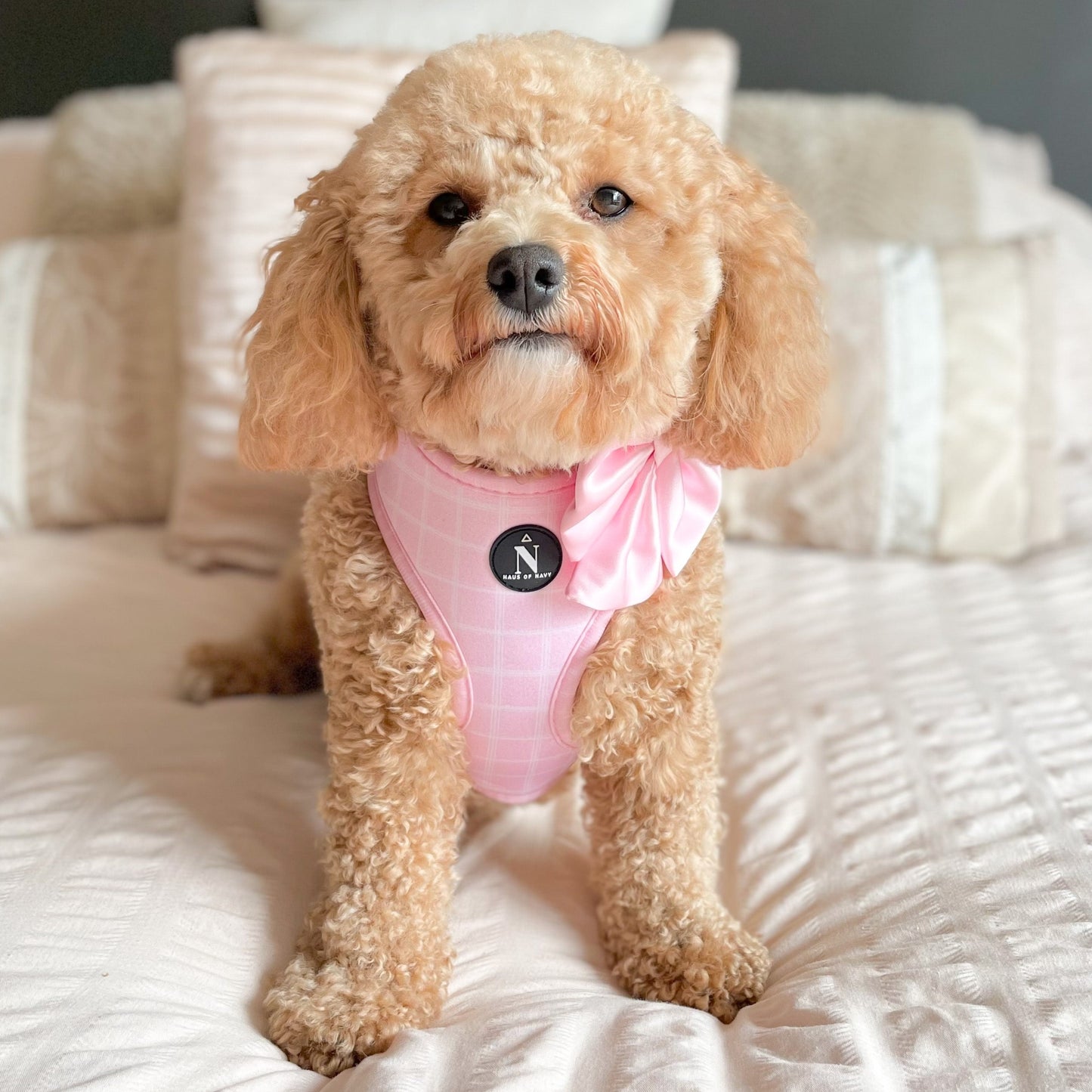 Adjustable Harness - Pink Plaid