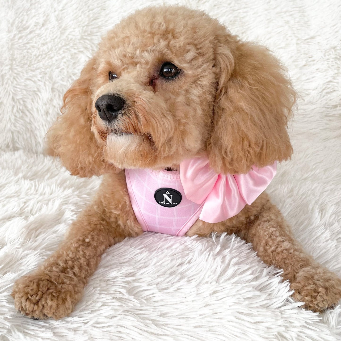 Adjustable Harness - Pink Plaid
