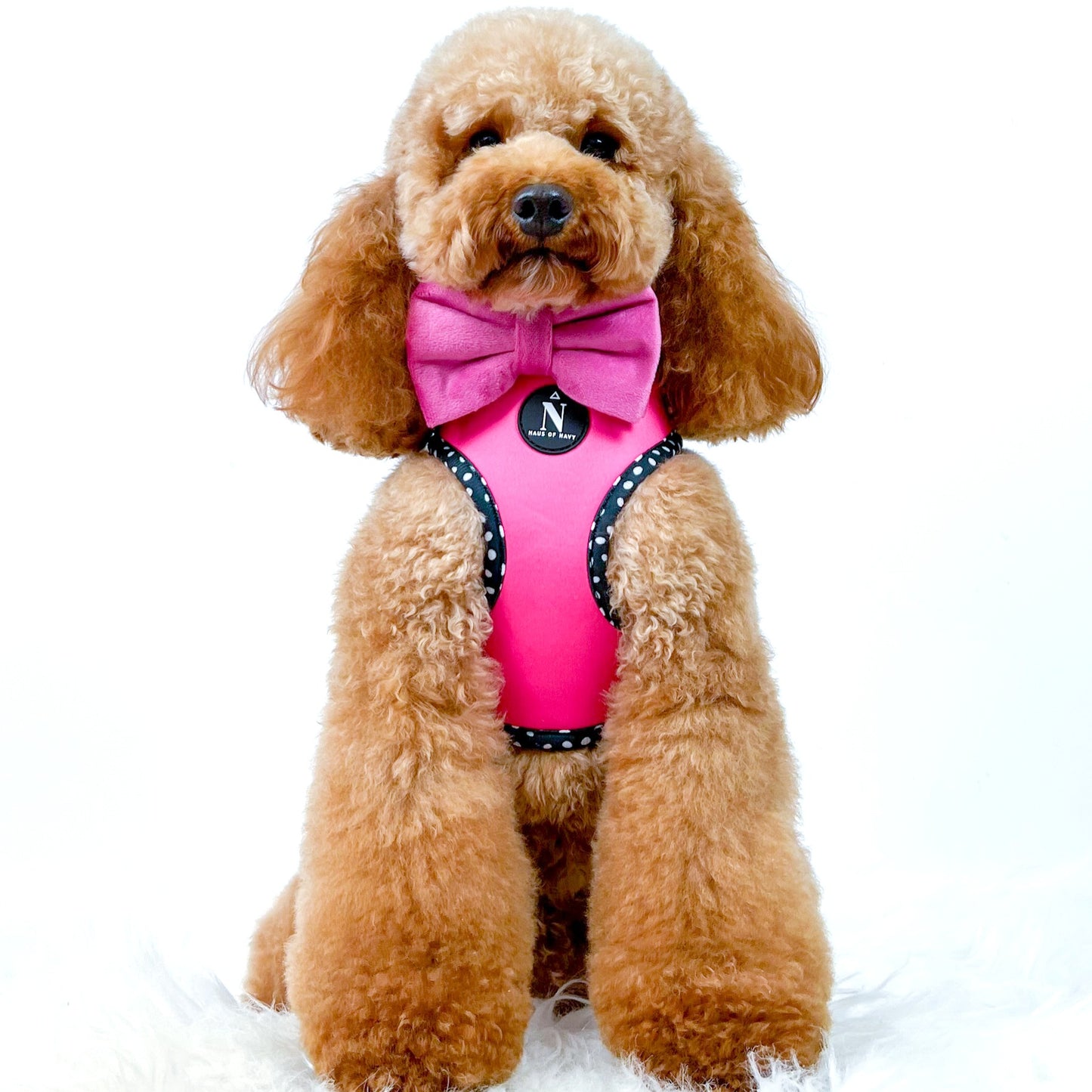 Adjustable Harness - Speckled Hot Pink