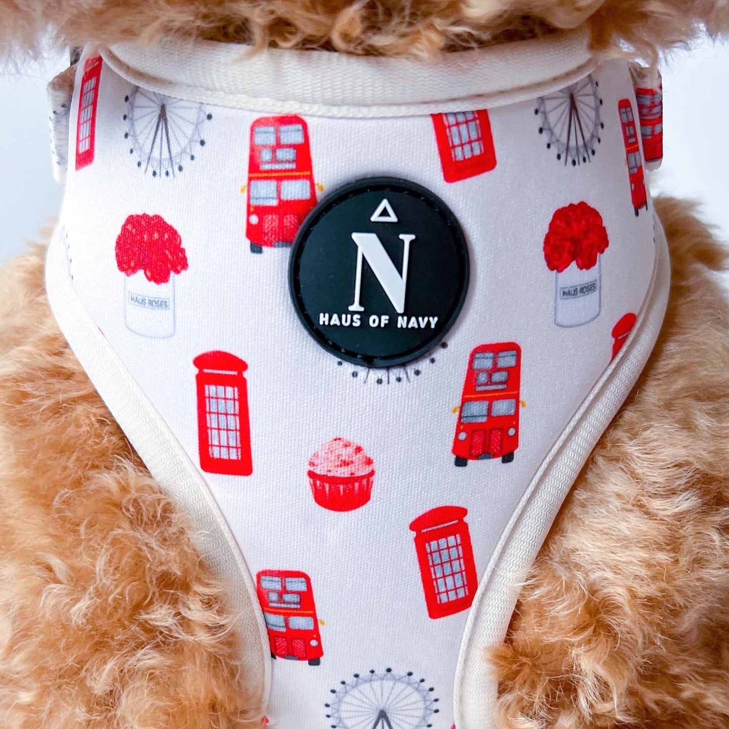 Adjustable Harness - The Londoner