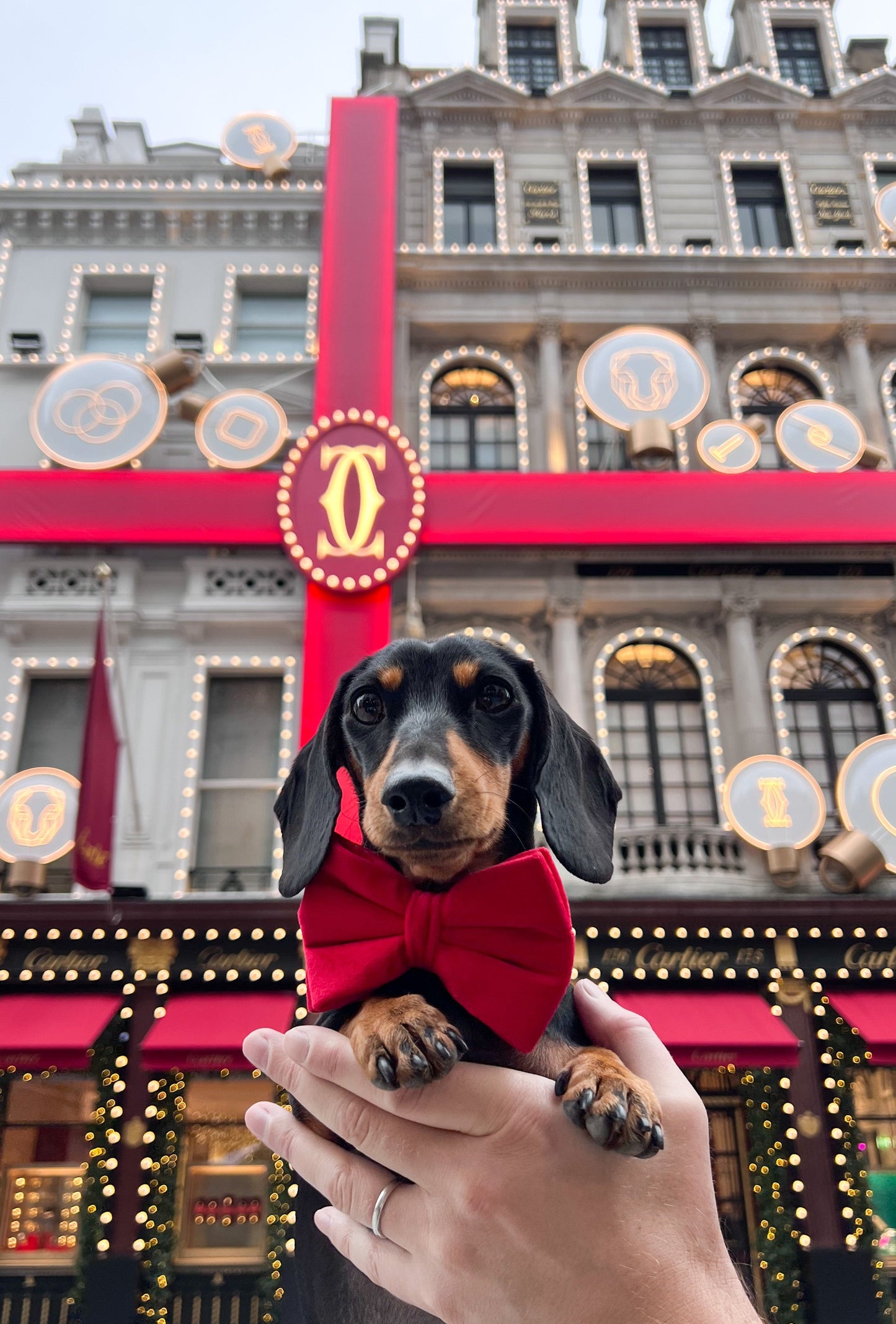 Velvet Bow Tie - Red Velvet