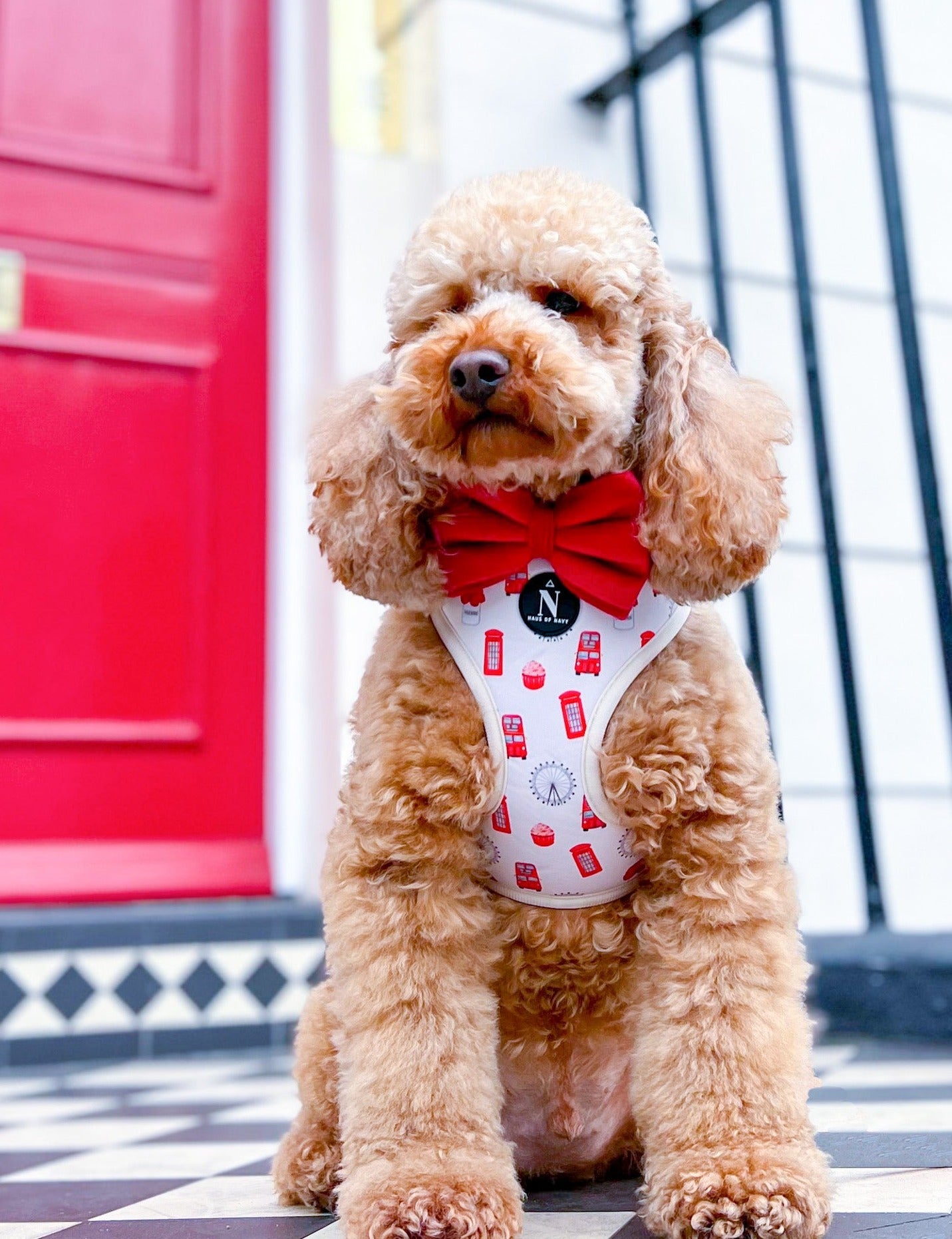 Adjustable Harness - The Londoner