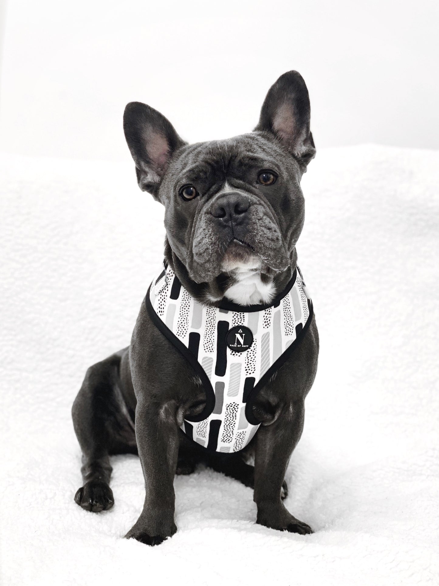 Adjustable Harness - The Modernist