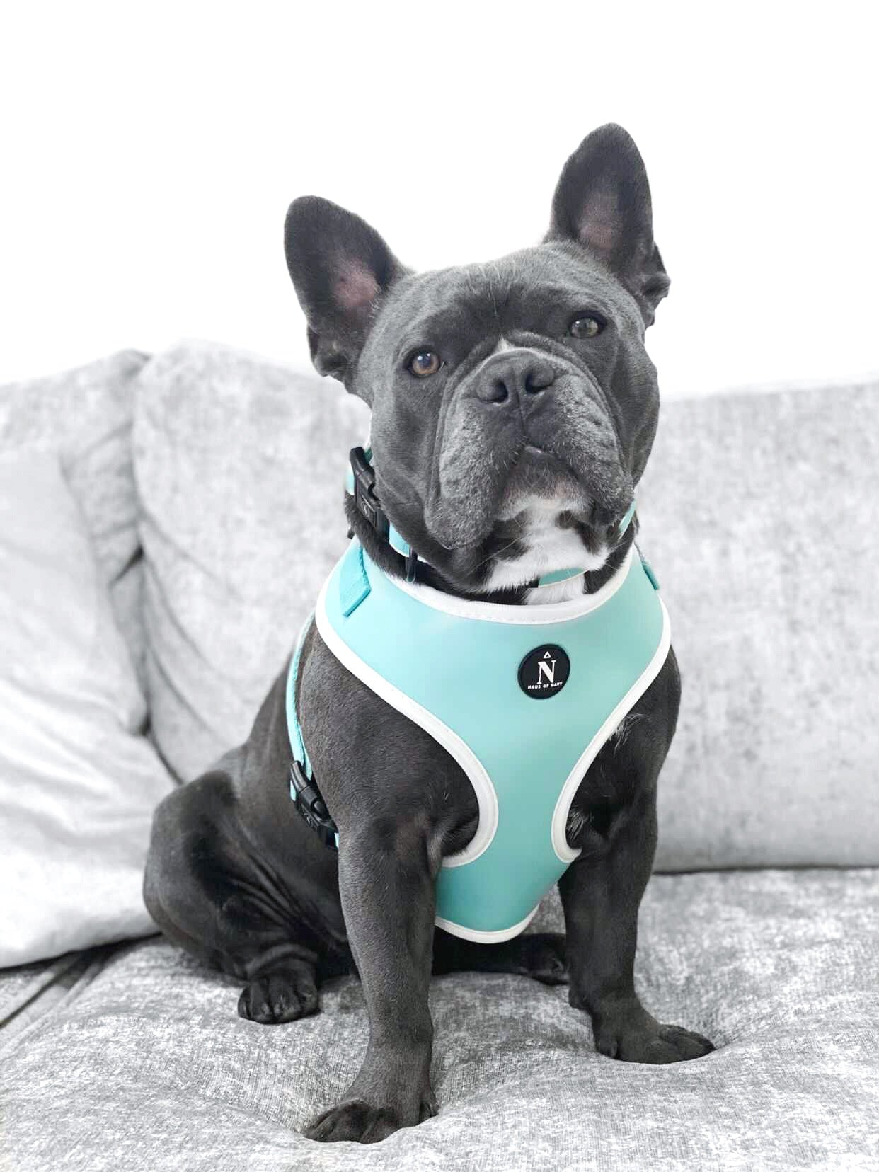 Adjustable Harness - Tiffany