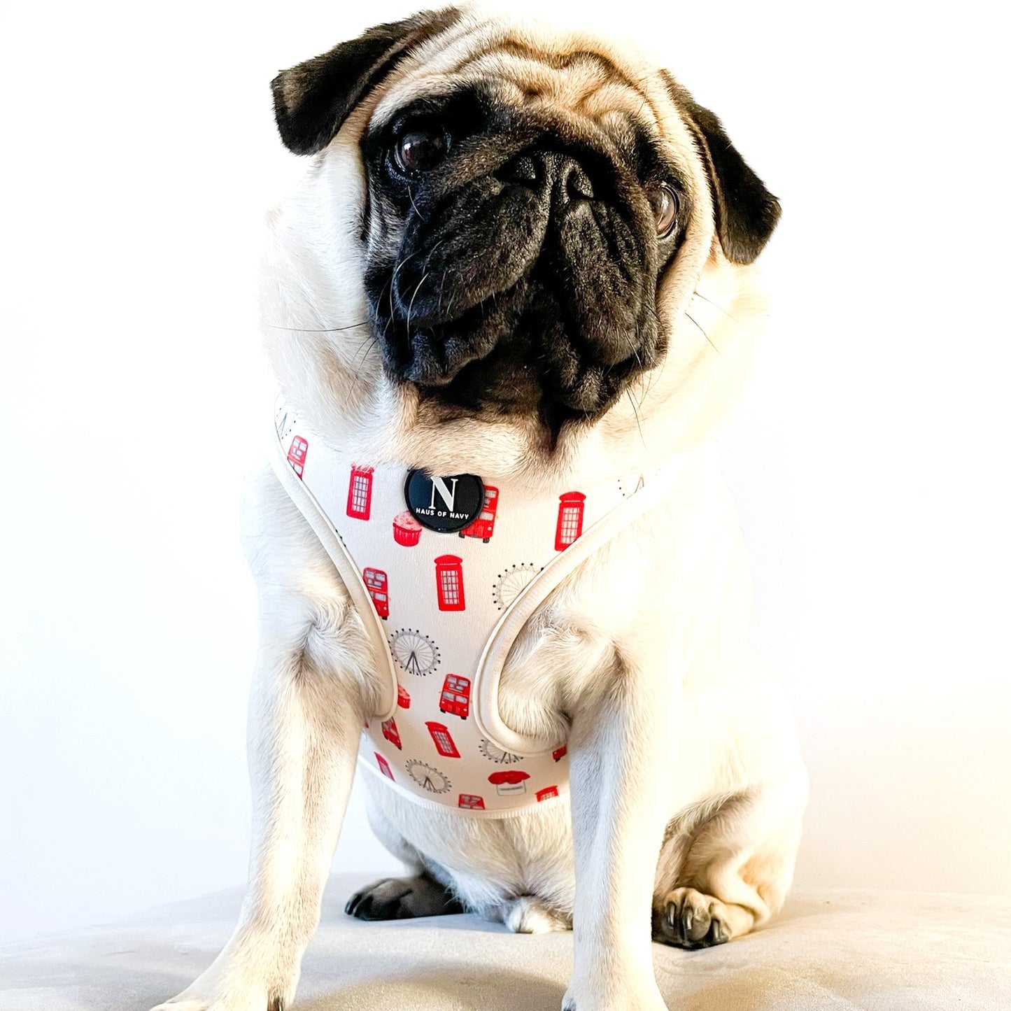 Adjustable Harness - The Londoner
