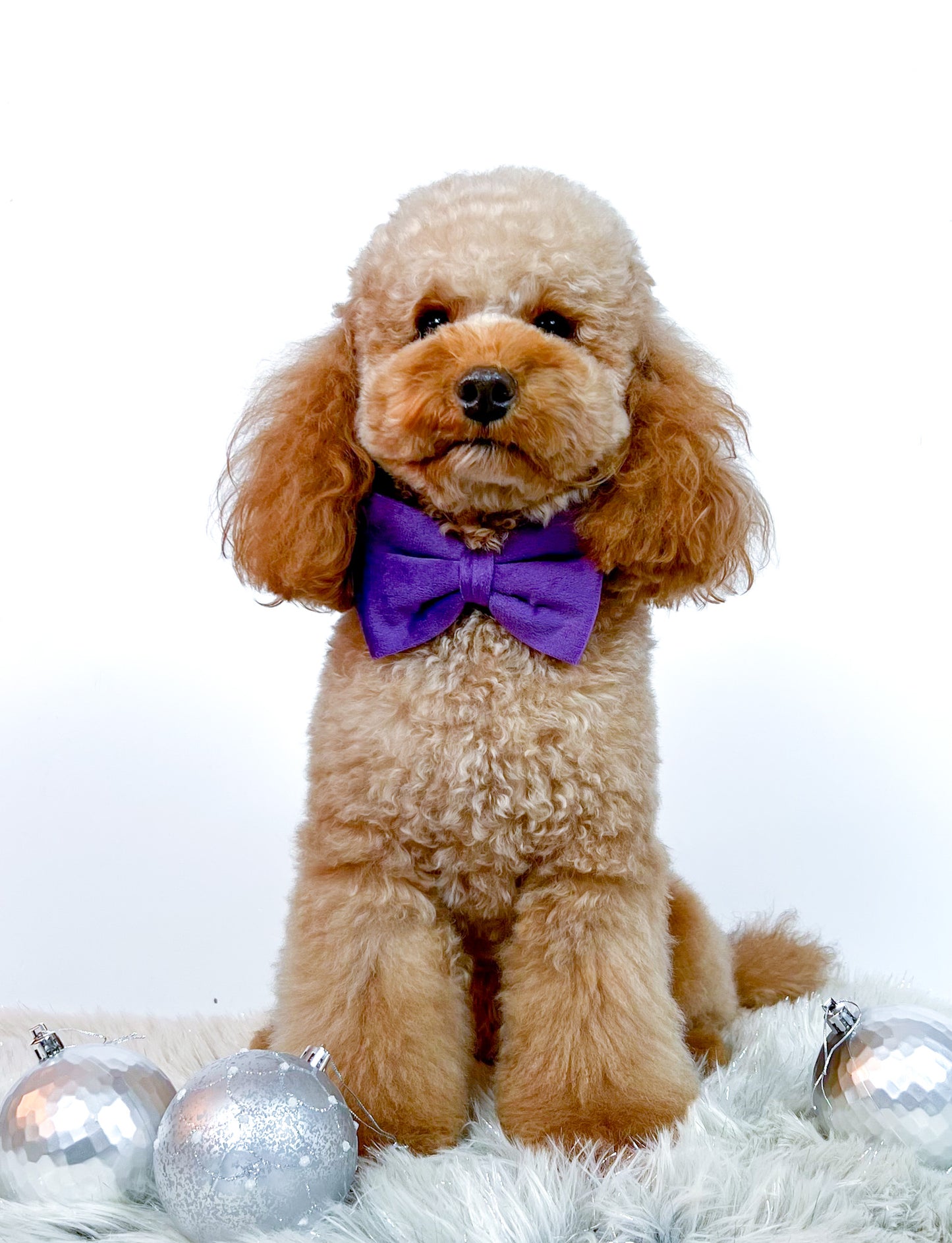 Velvet Bow Tie - Royalty