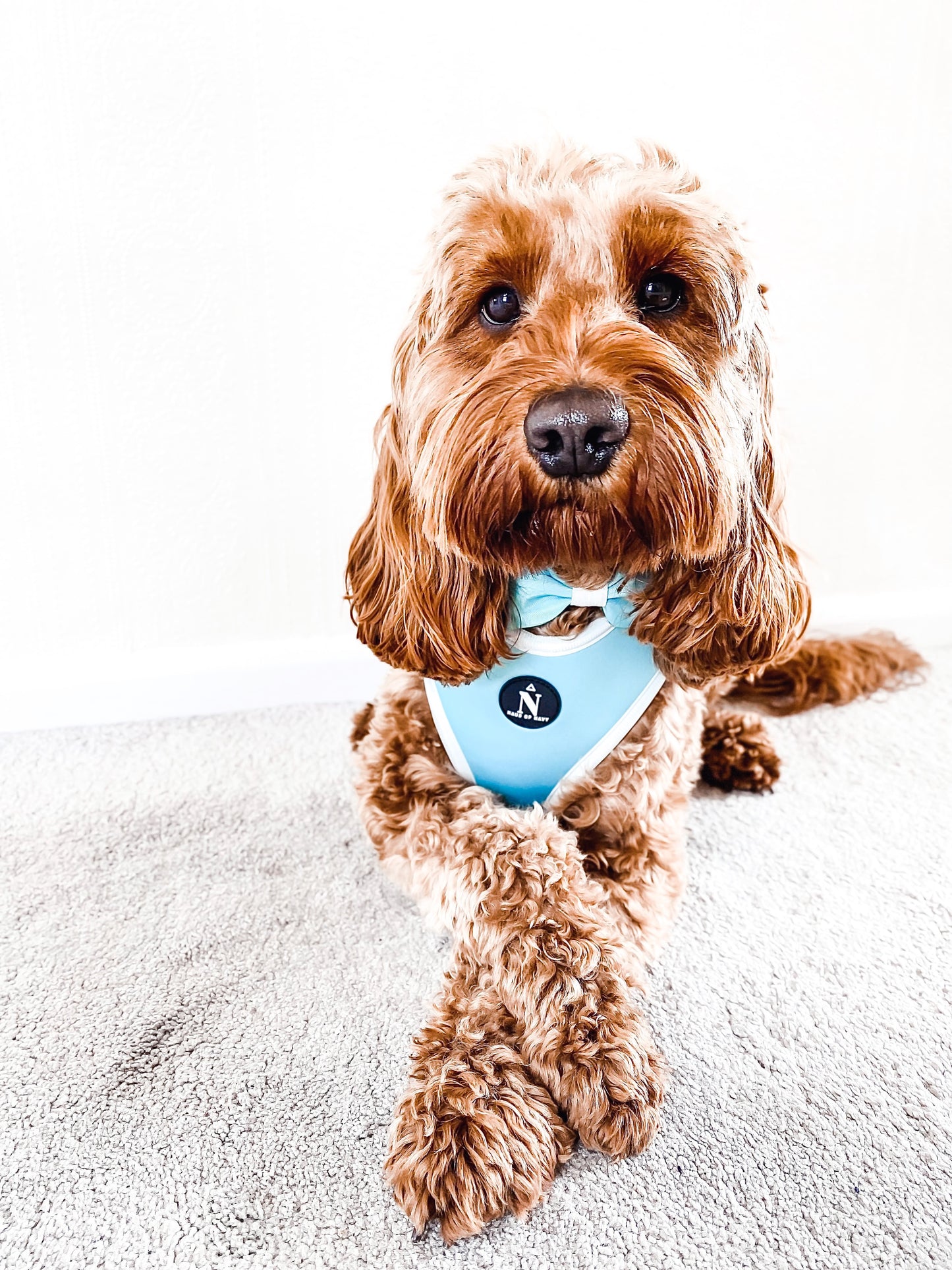 Adjustable Harness - Tiffany