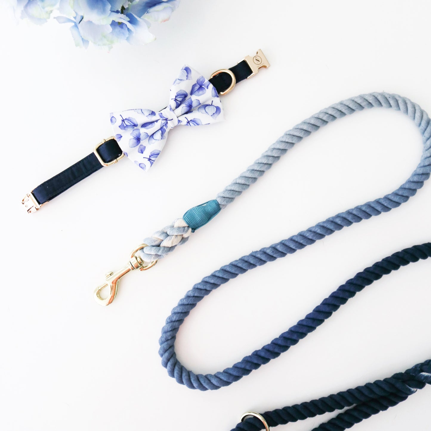 Rope Leash - Truly Navy