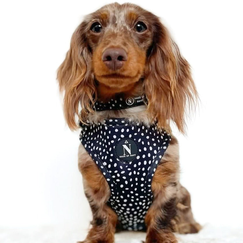 Adjustable Harness - Speckled