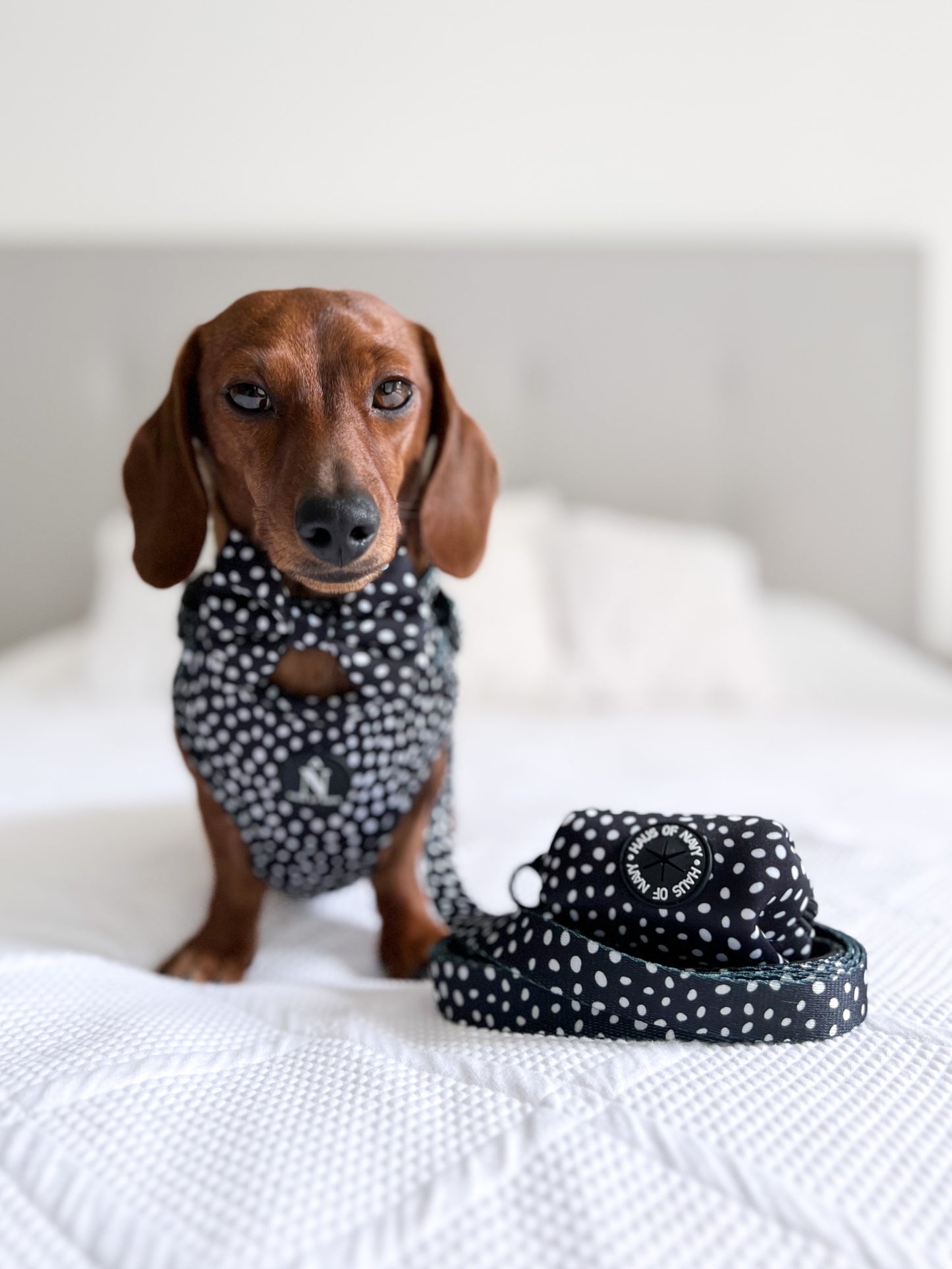 Bow Tie - Speckled