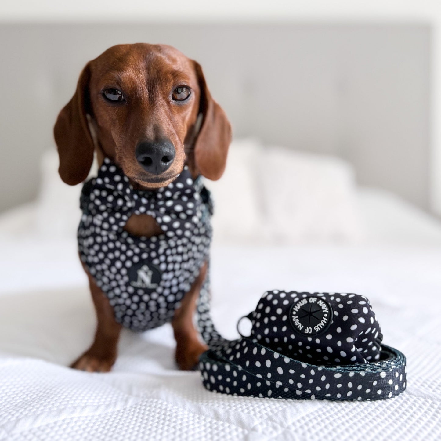 Poop Bag Holder - Speckled