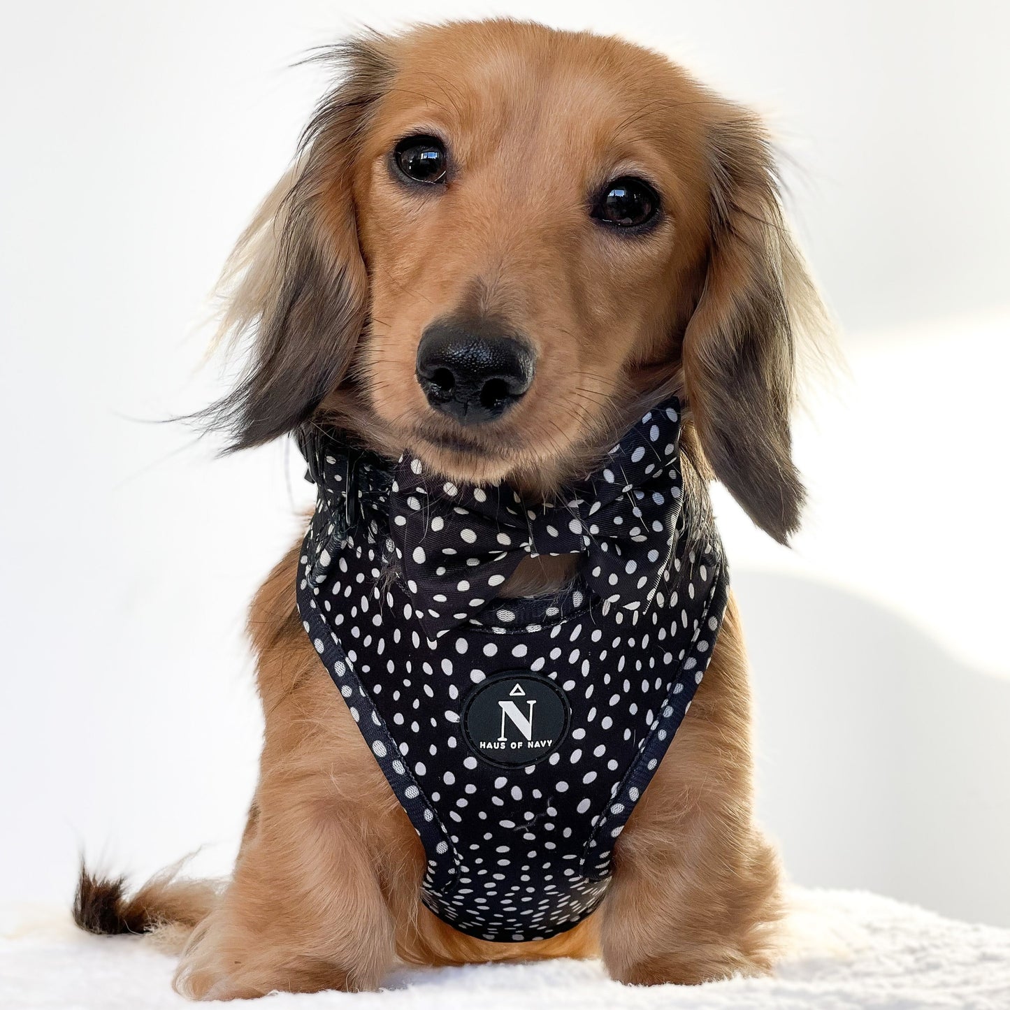 Bow Tie - Speckled