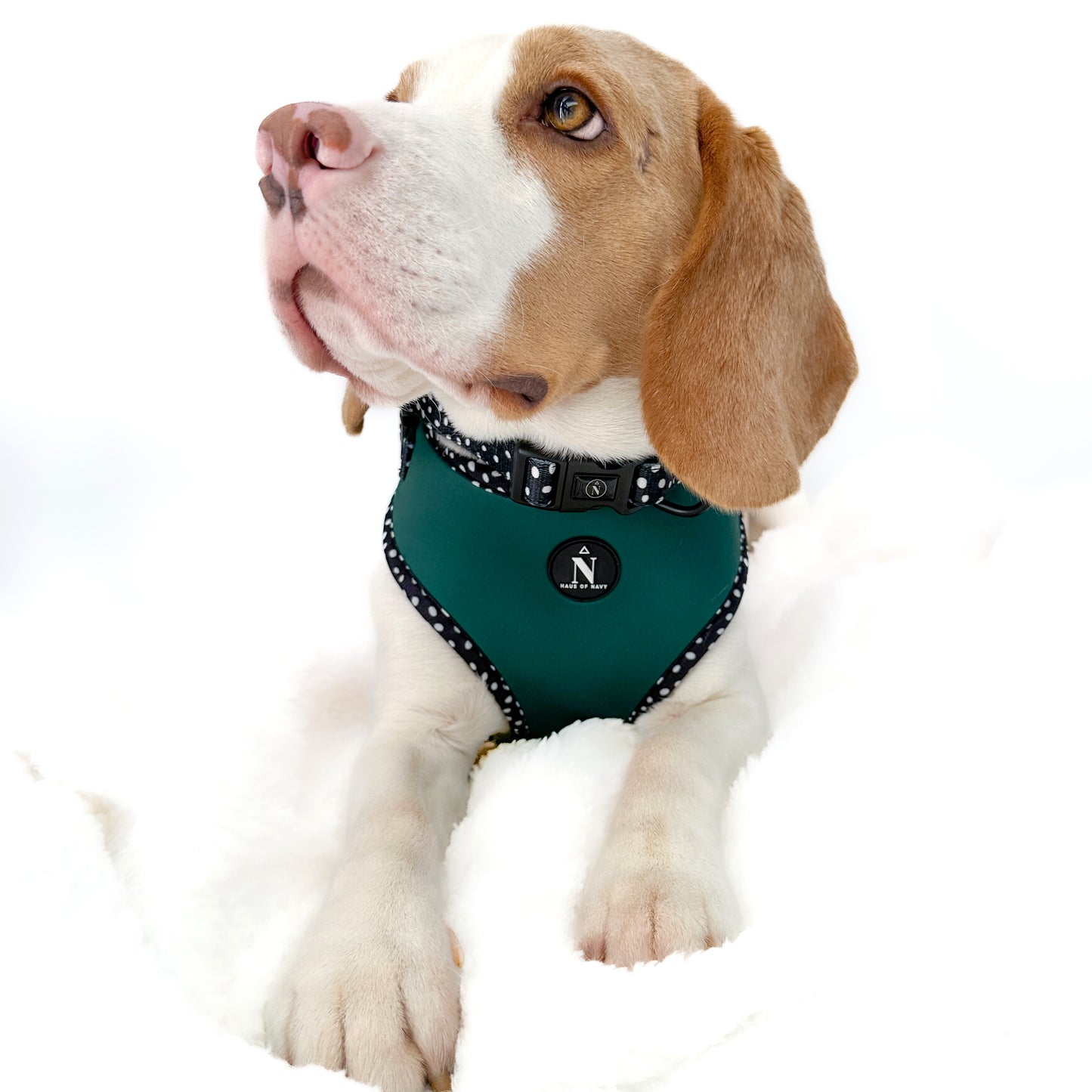 Adjustable Harness - Speckled Emerald