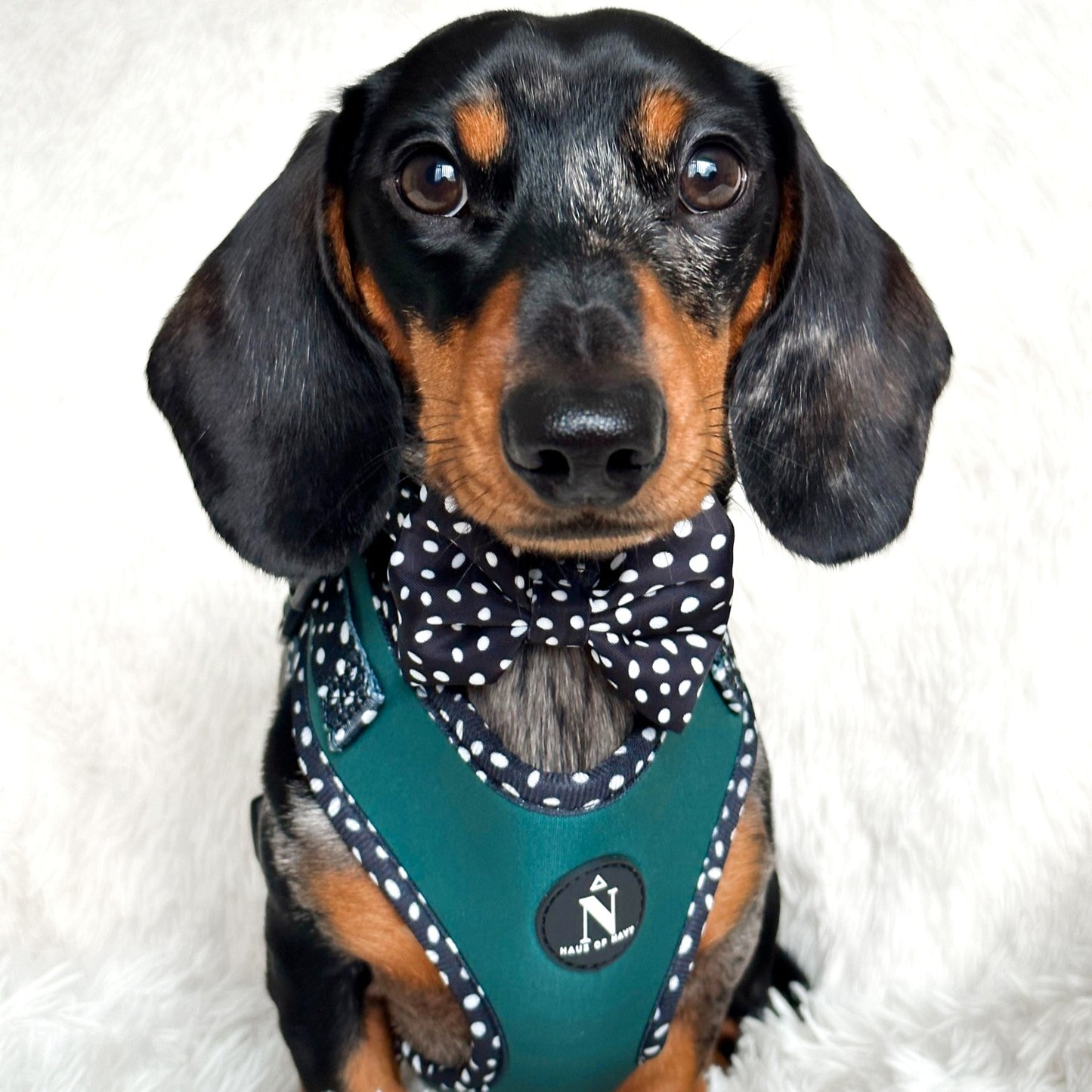 Adjustable Harness - Speckled Emerald