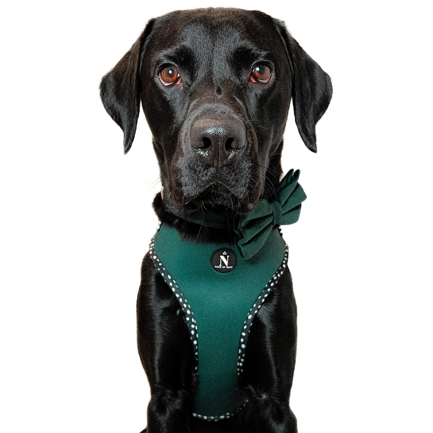 Adjustable Harness - Speckled Emerald