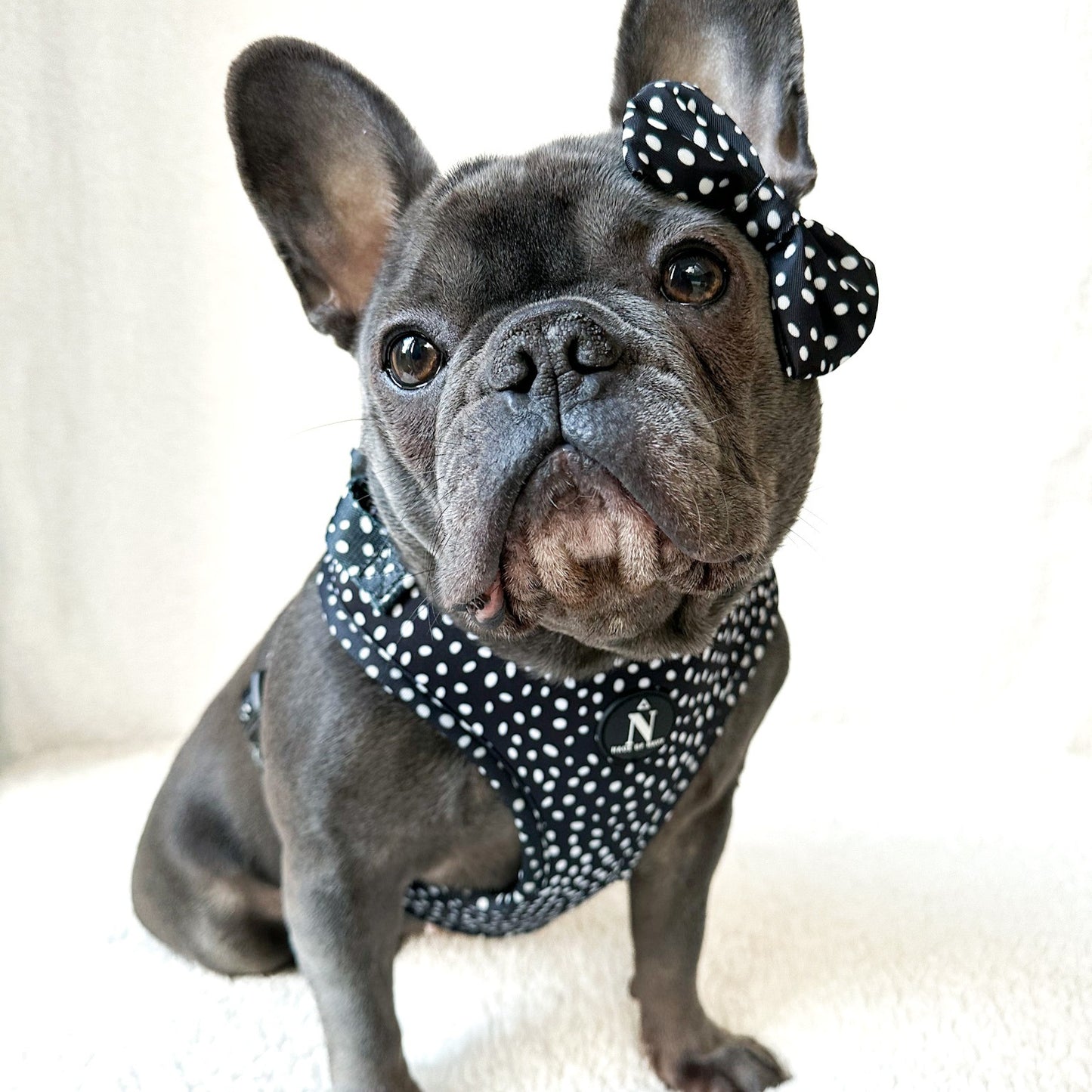 Bow Tie - Speckled