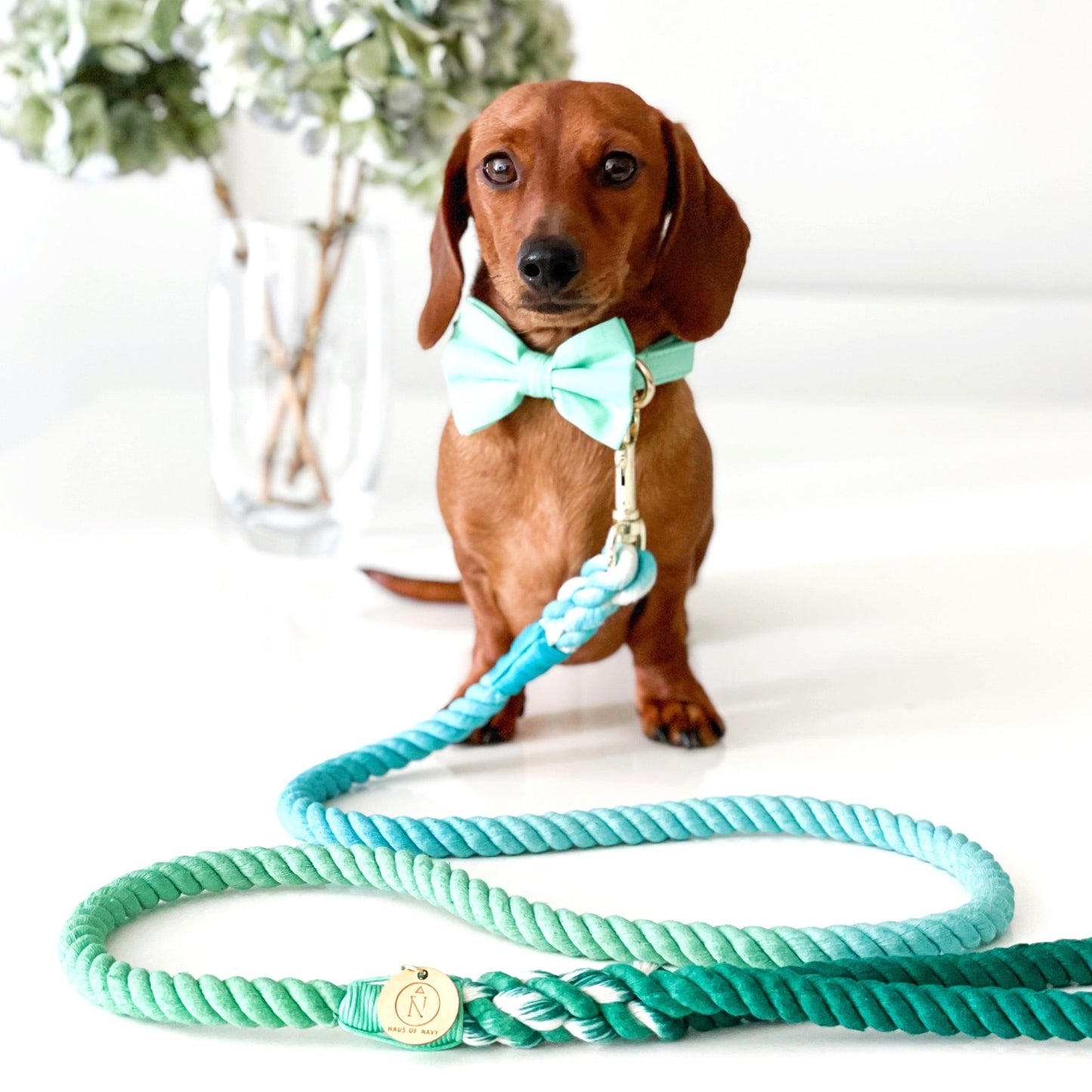 Rope Leash - Hello Yellow