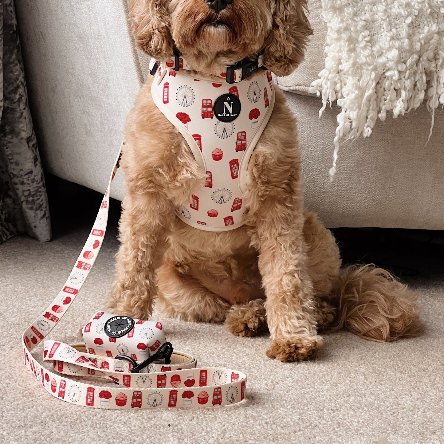Leash - The Londoner