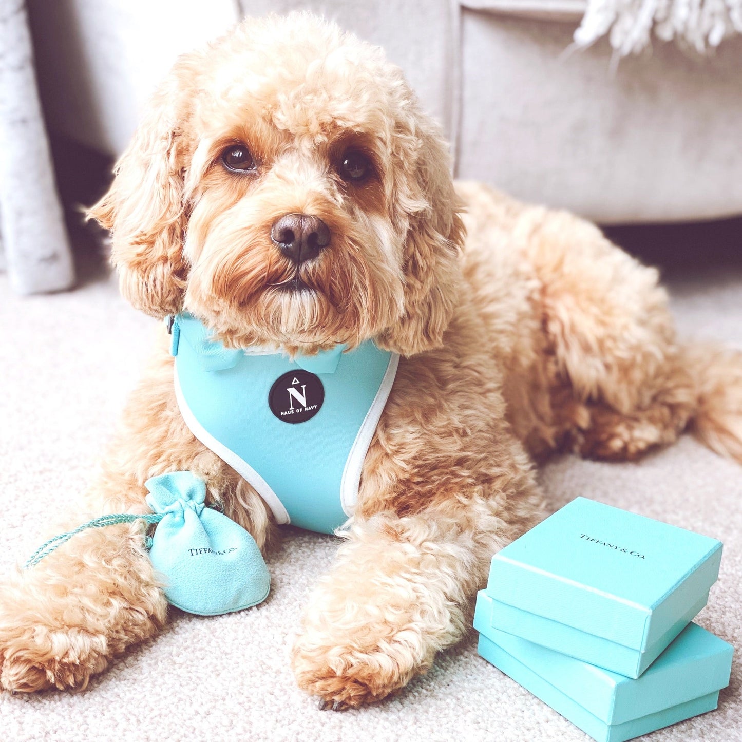 Adjustable Harness - Tiffany