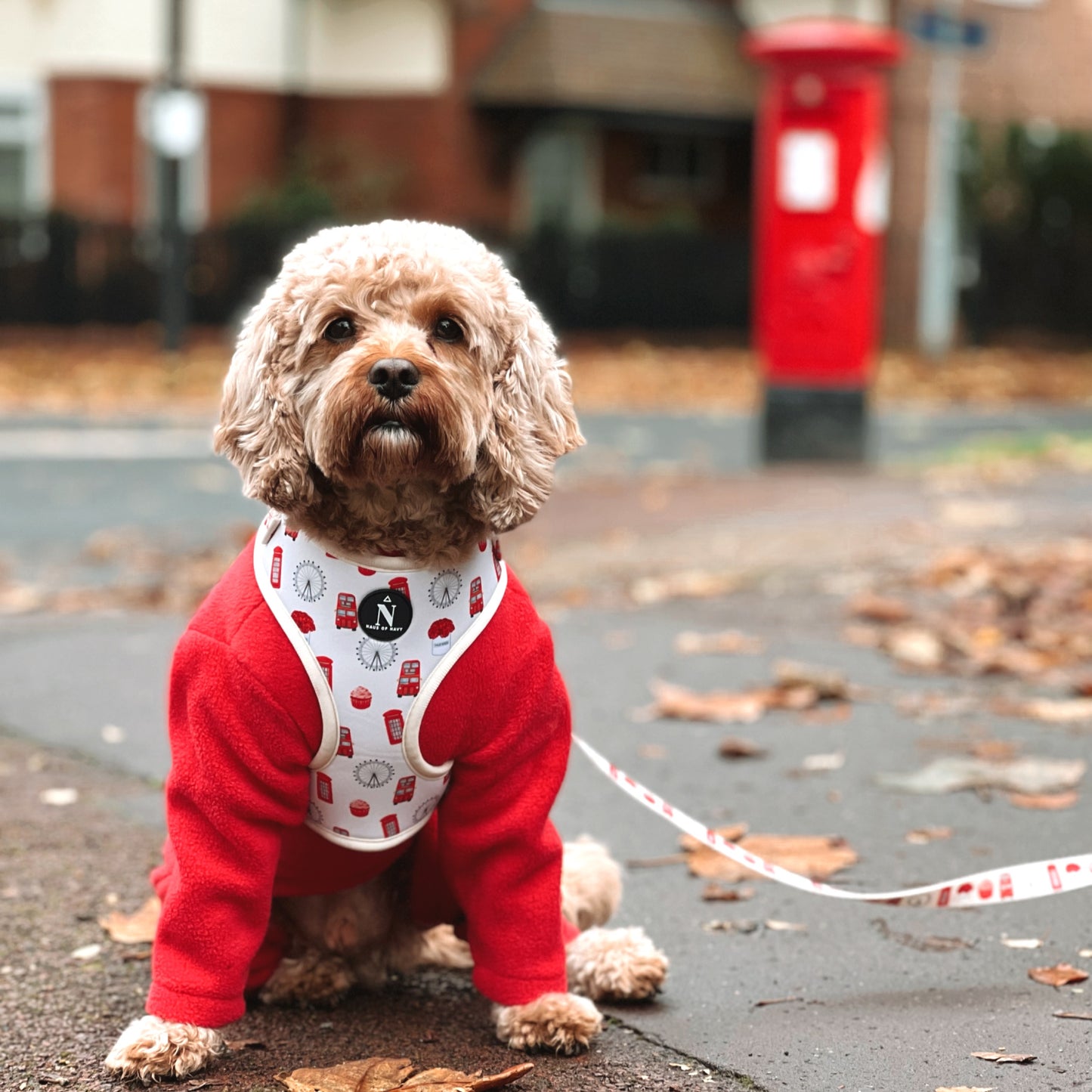 Adjustable Harness - The Londoner