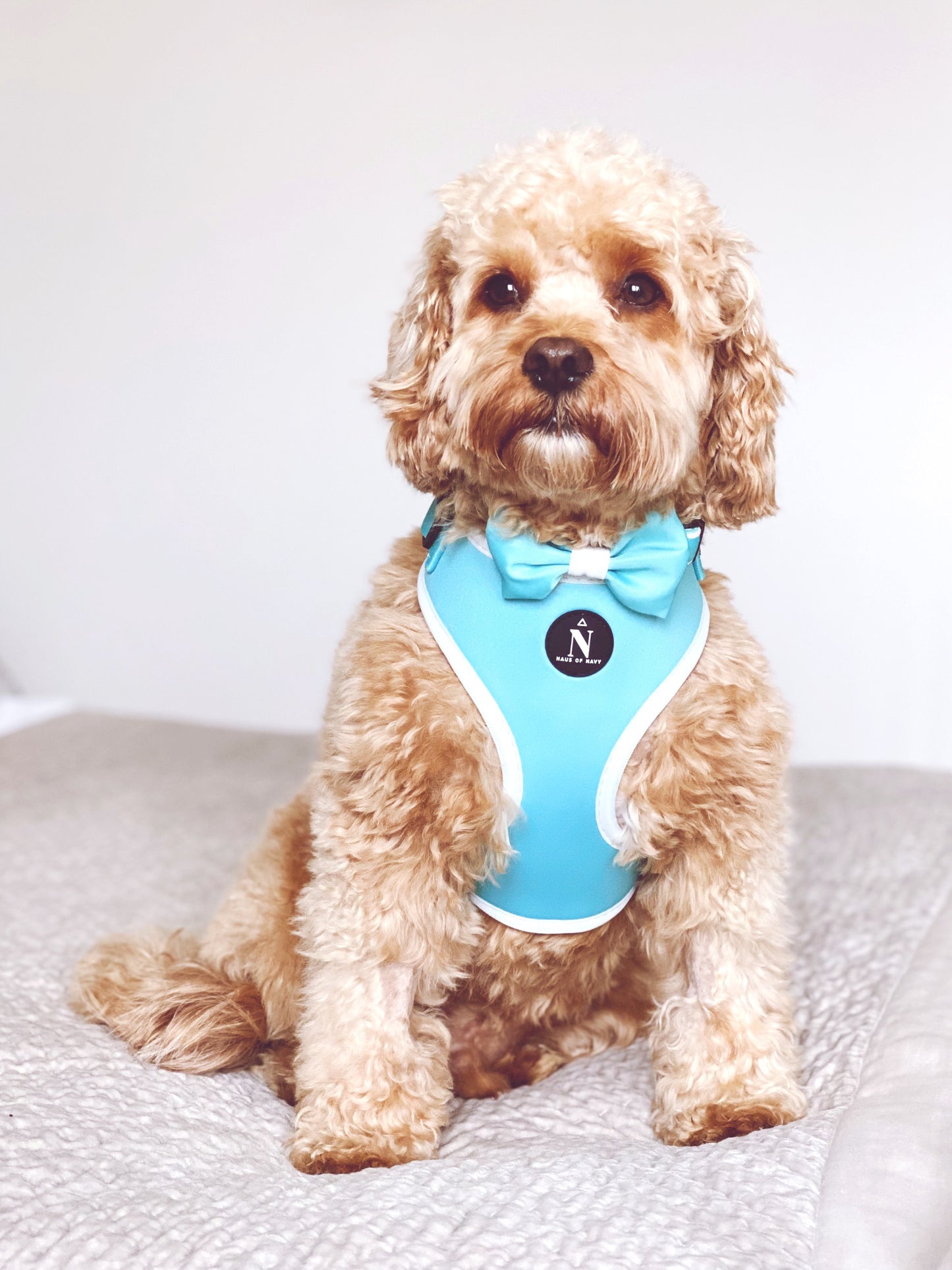 Adjustable Harness - Tiffany