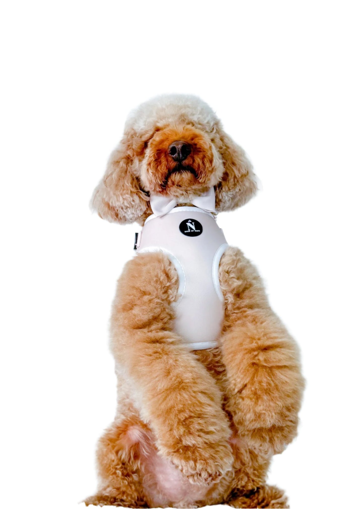 Adjustable Harness - Chloé