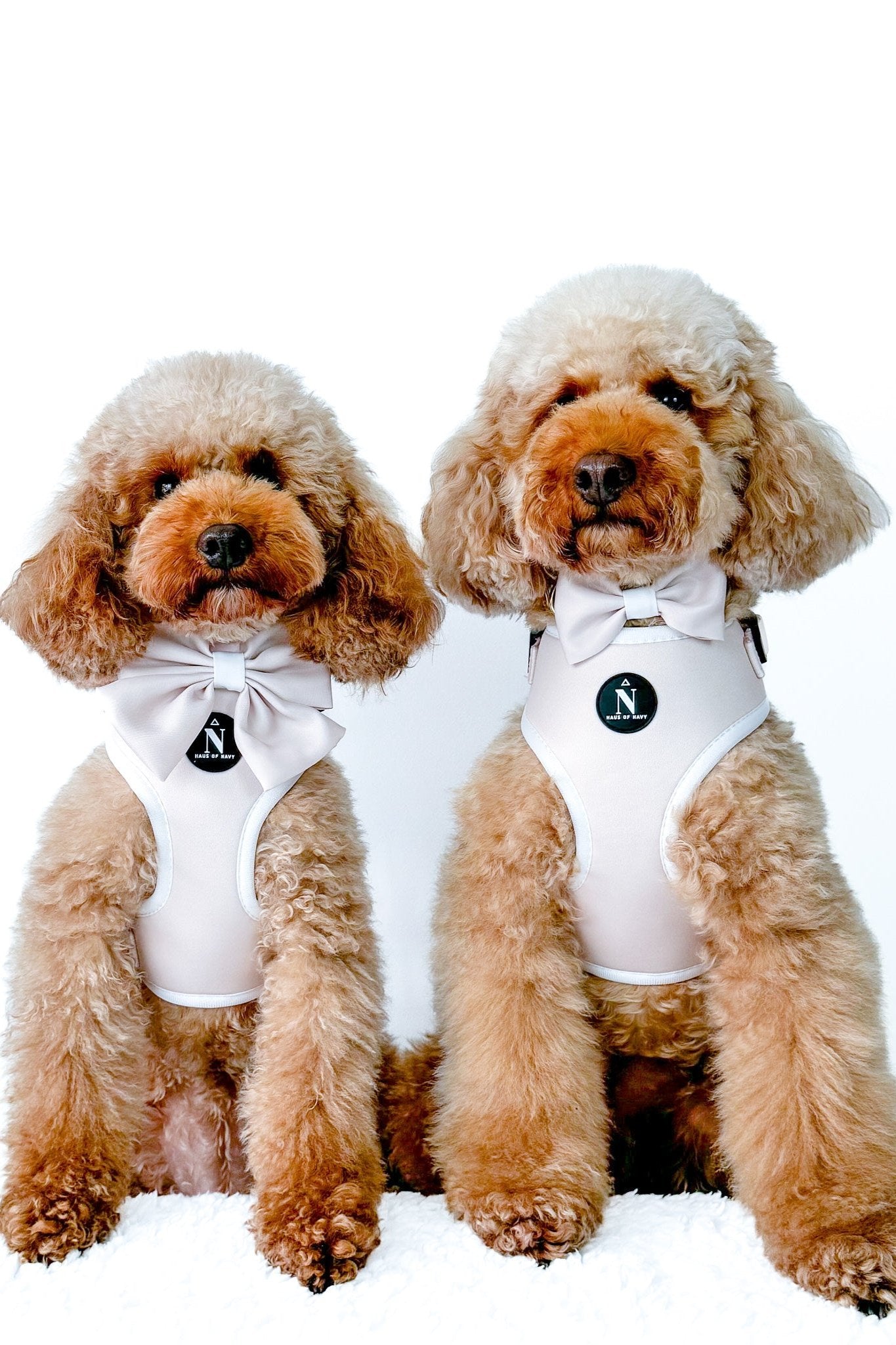 Adjustable Harness - Chloé