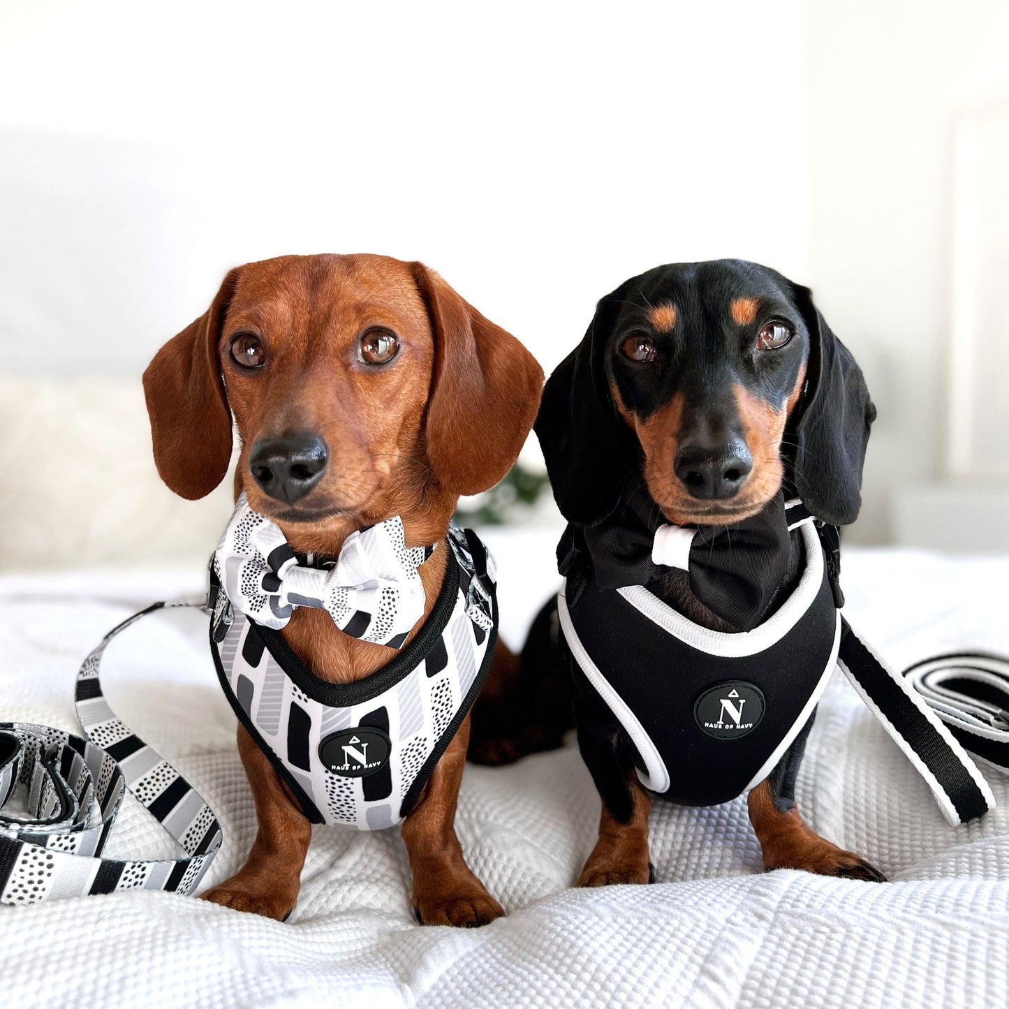 Adjustable Harness - Coco