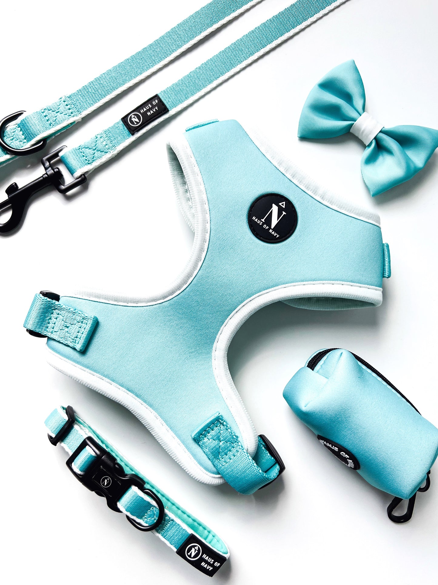 Leash - Tiffany